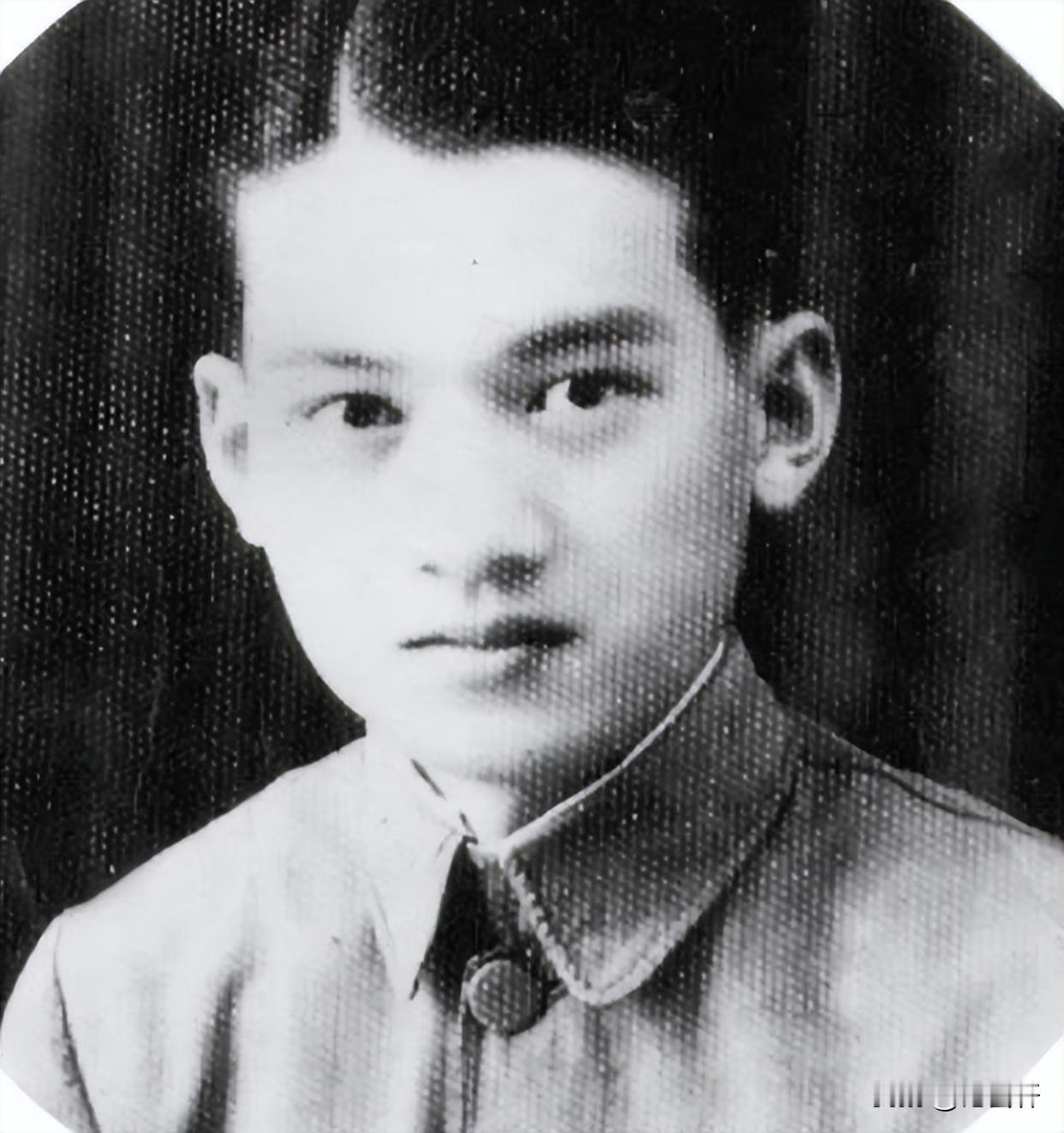 1988年，在台湾蛰伏了42年的我党地下工作者，伪装身份回到大陆。到家后，却看到