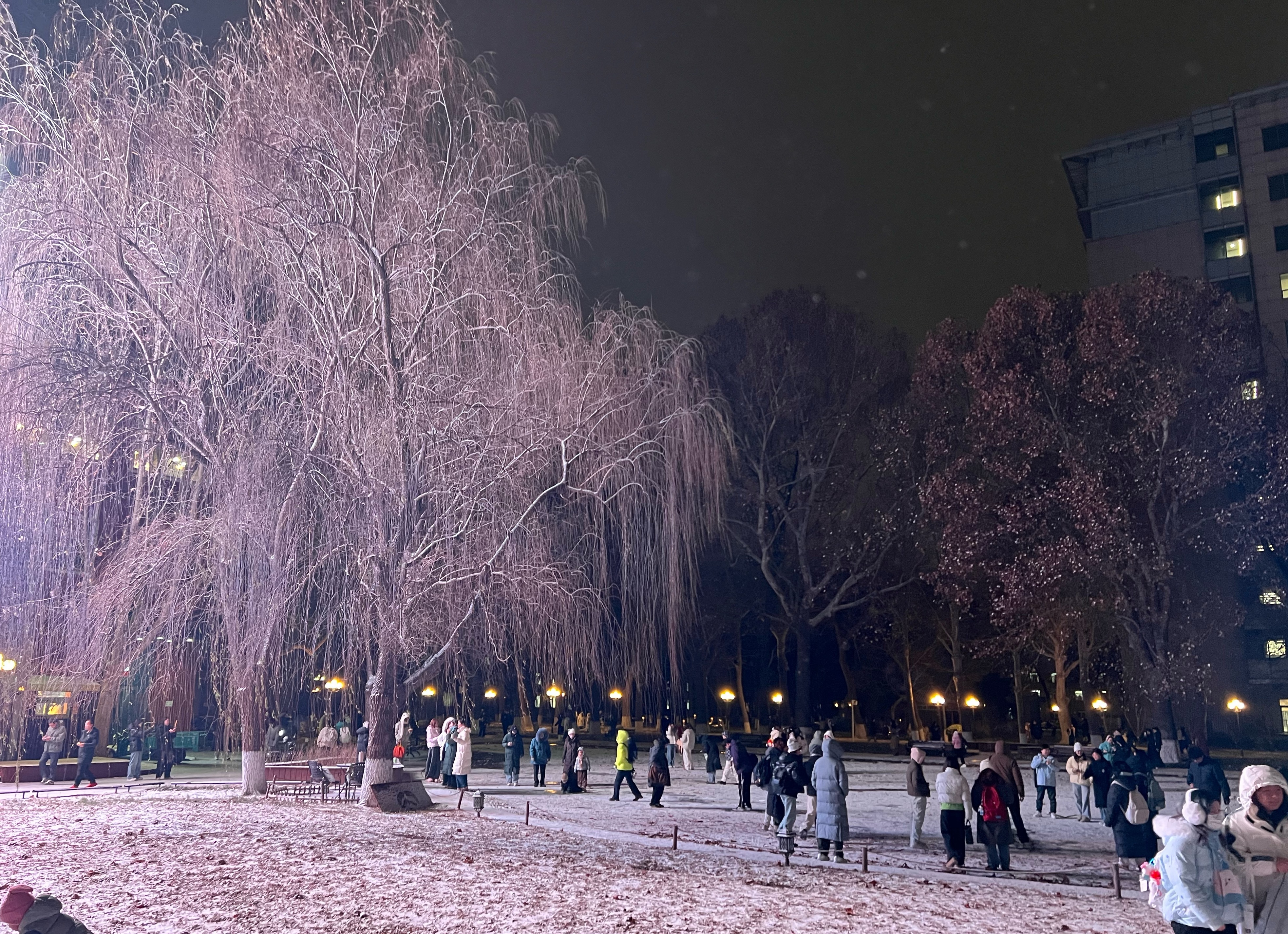 我是发现了，下雪湖面结冰，最开心的是大学生，全去滑冰了2025初雪摄影大赛