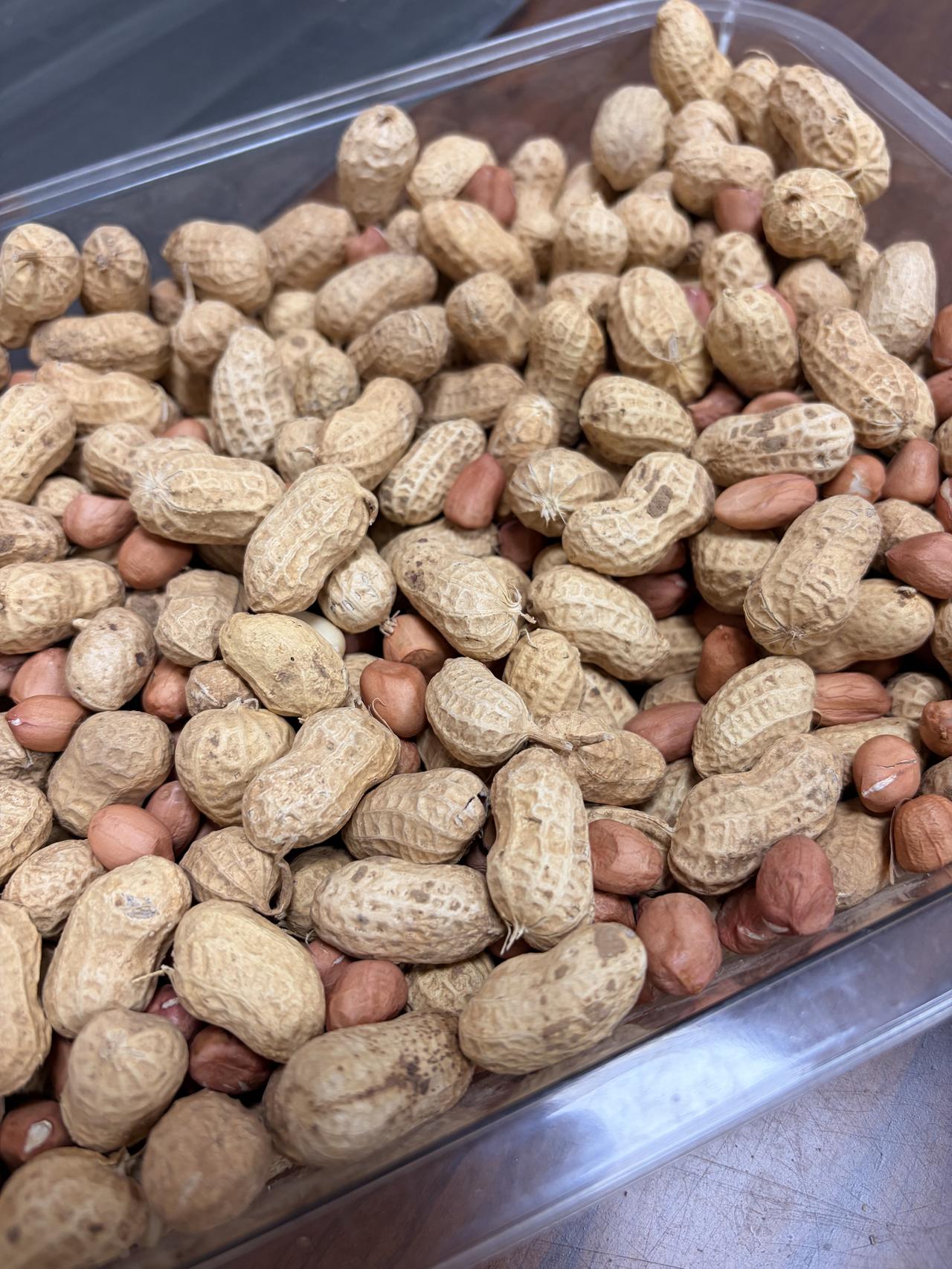 花生价格2026年4月2日河南南阳市唐河县花生价格行情
白沙麦茬通货米收3.7-