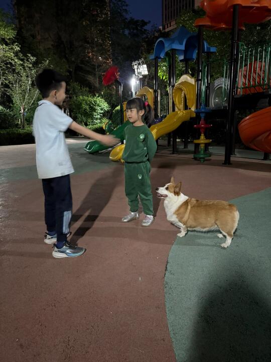 小狗和小朋友的友谊
