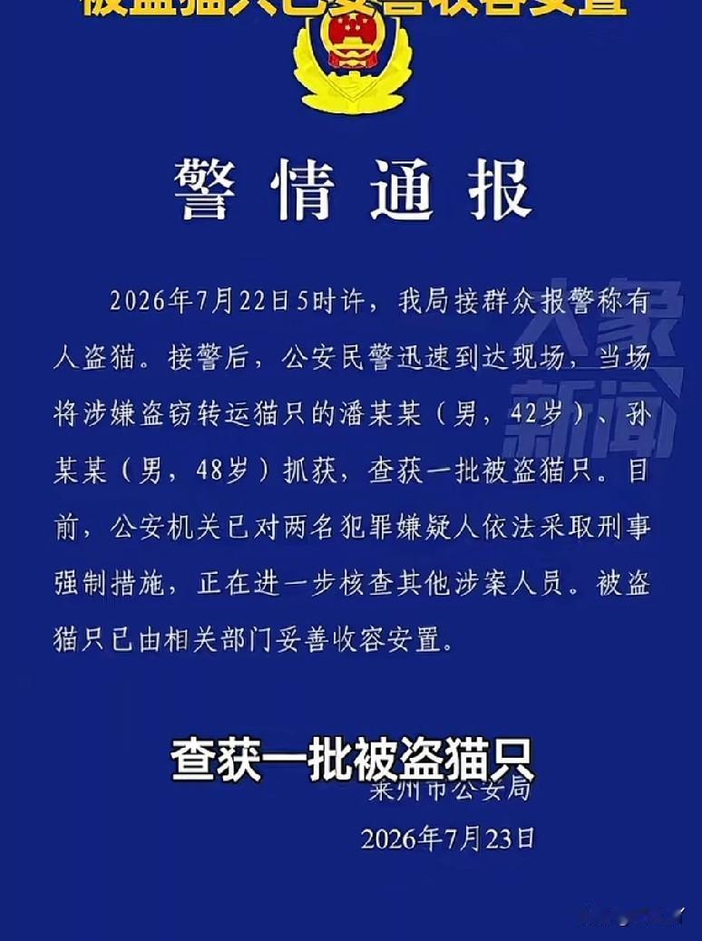六七百只流浪猫被成功救下，必须为山东莱州公安点赞！

2026年7月22日5时许
