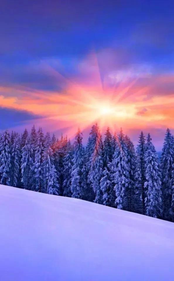 白雪皑皑，冬日的美景。时光淡泊了沧桑，岁月模糊了往昔（原创）
