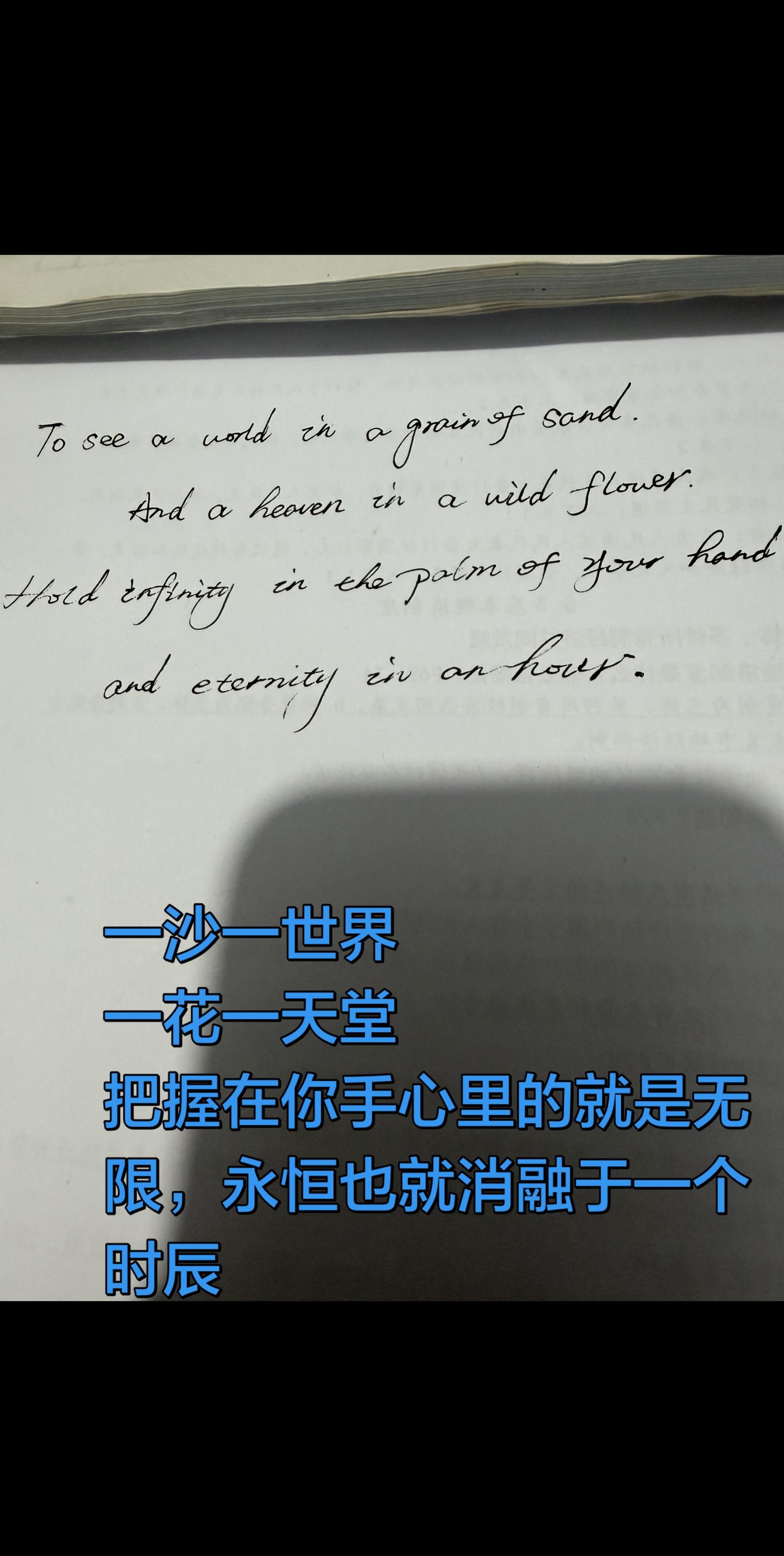 英语手写✍️