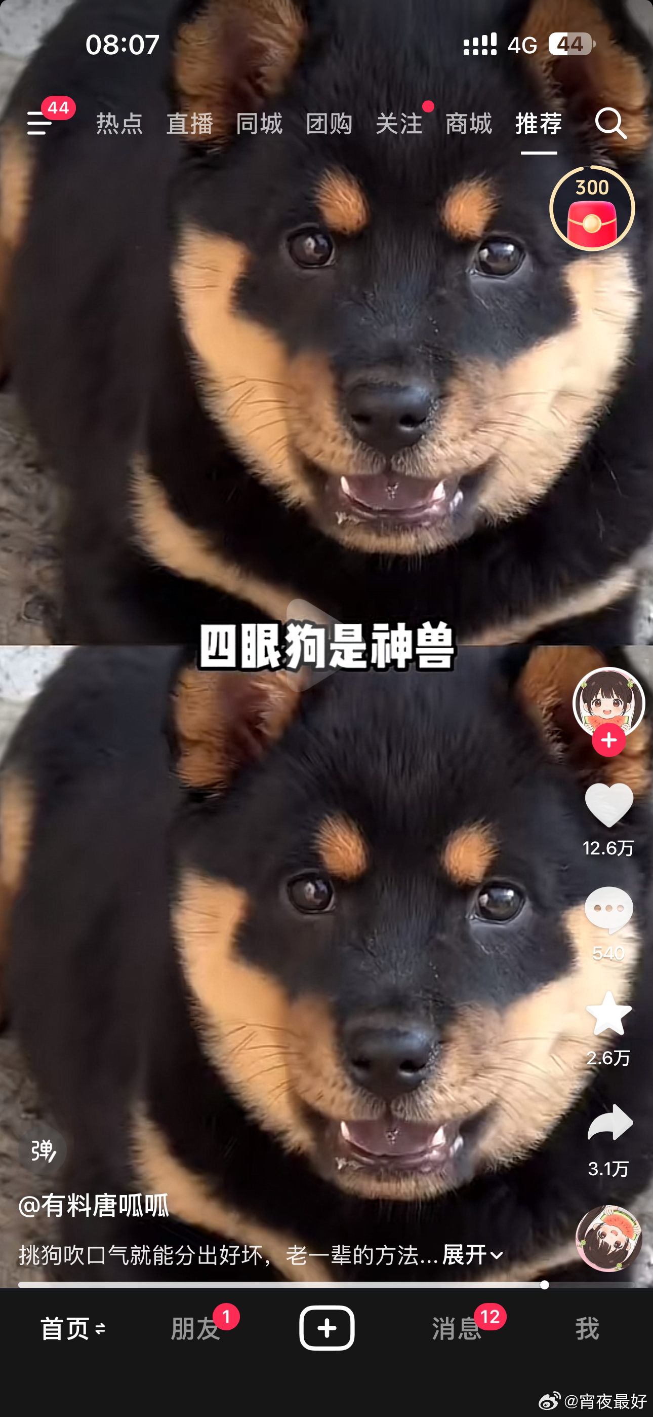 六斤也是混上神兽这个职称就 
