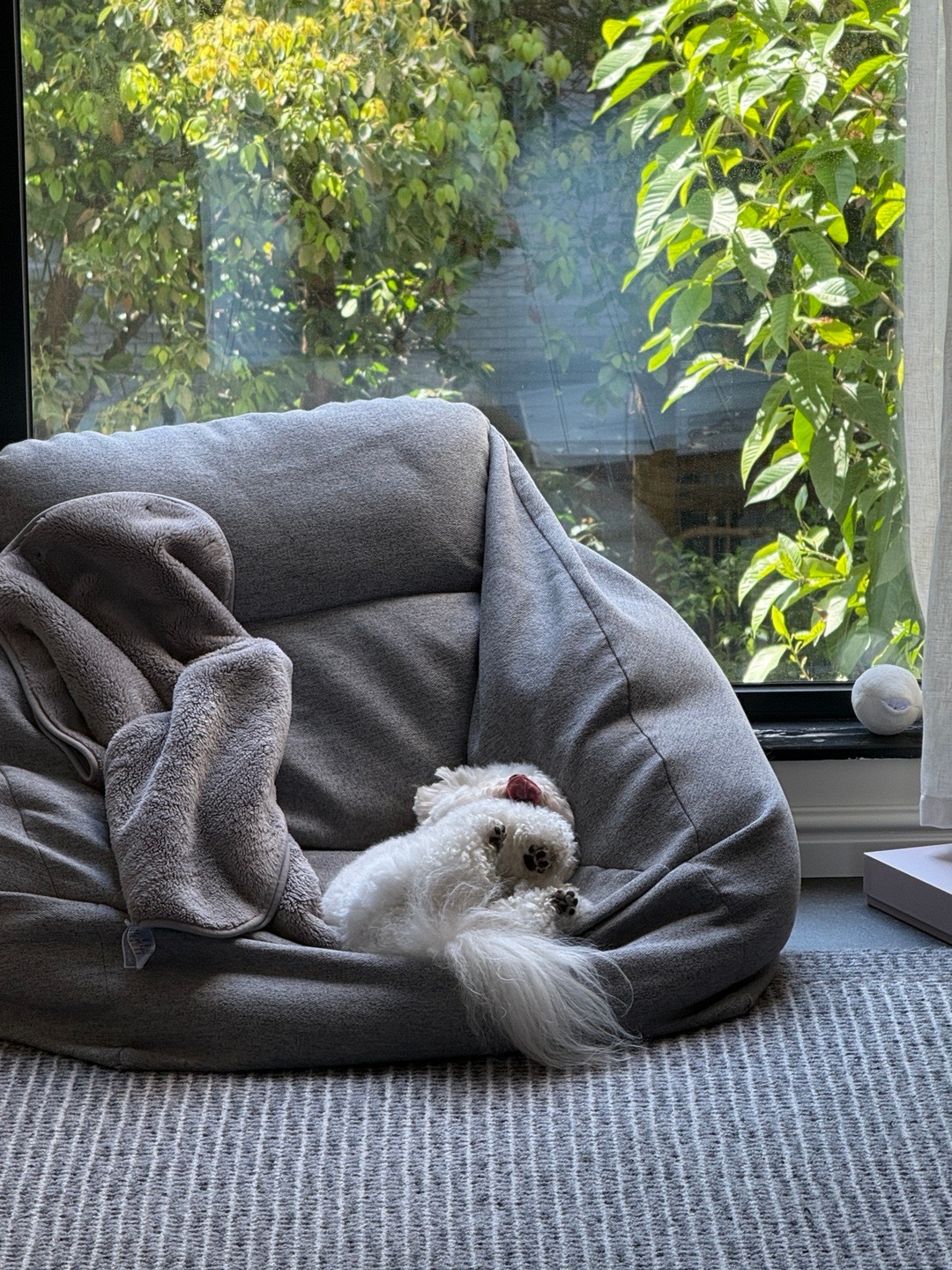 家是每位成员共同经营的心安 