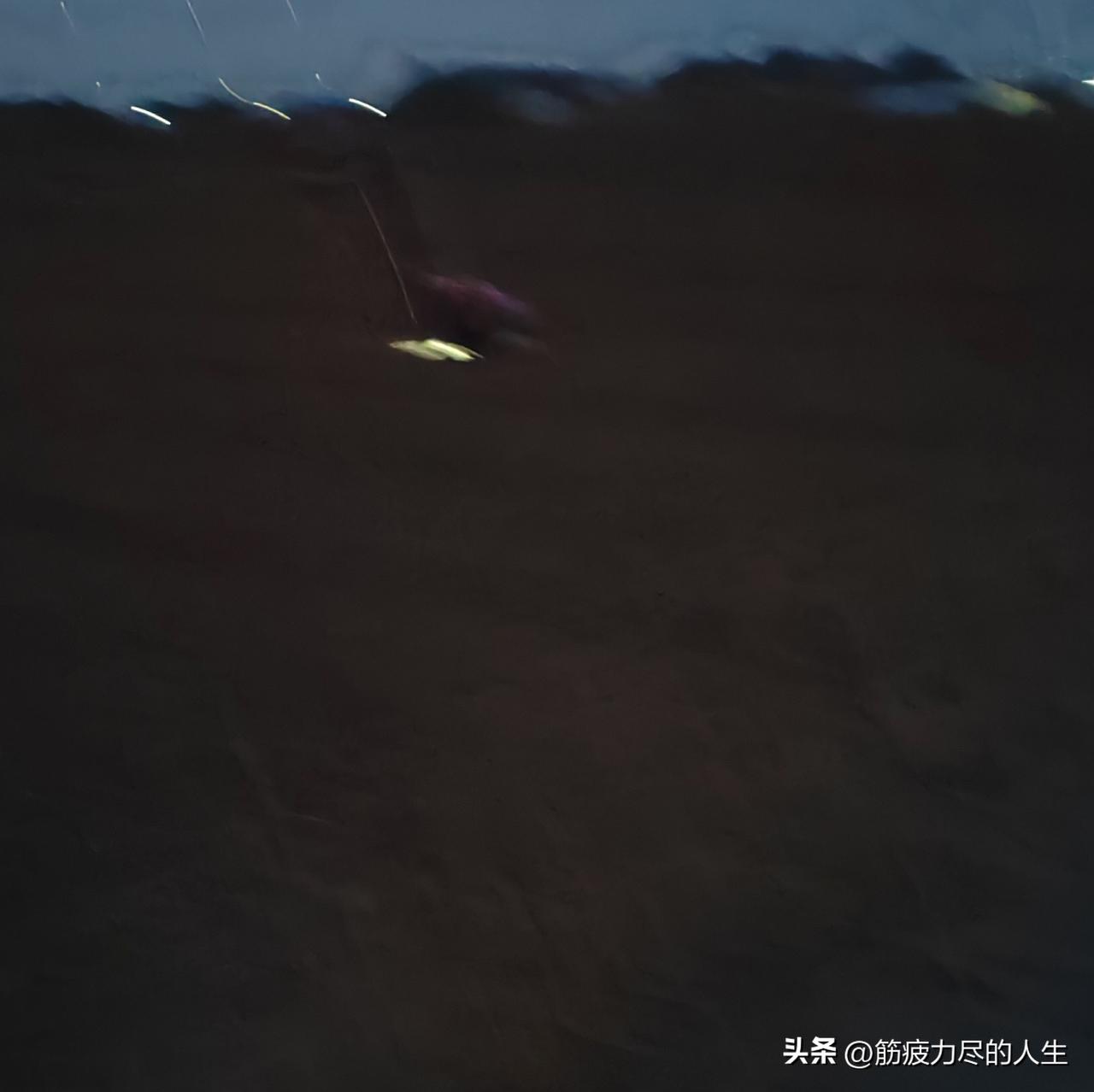 花甲老人头上戴着头灯去田间栽蒜。

这段时间是我们农村种蒜的季节。有的农户种的蒜