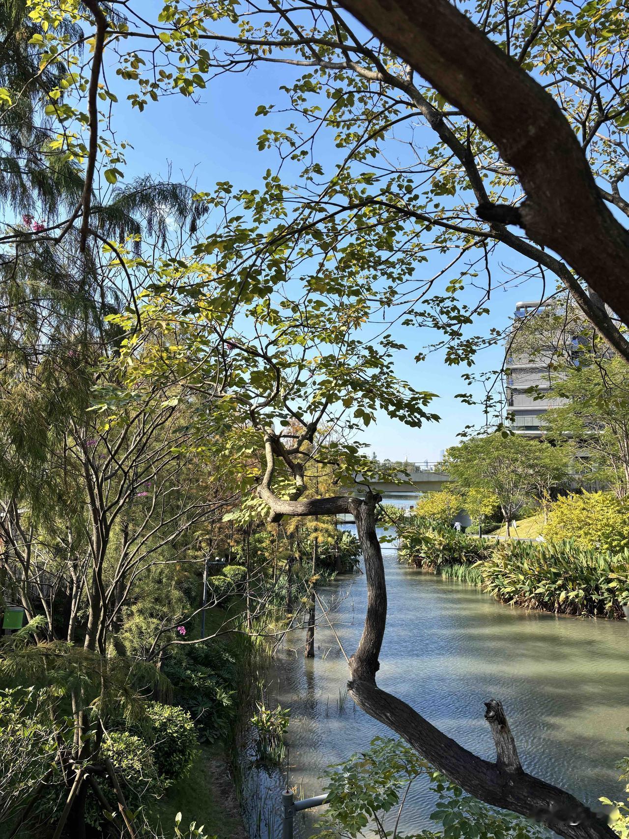 今天广州的大美广州蓝！

心底无私天地宽。

如烟往事俱忘却。

只留一片蓝湛湛
