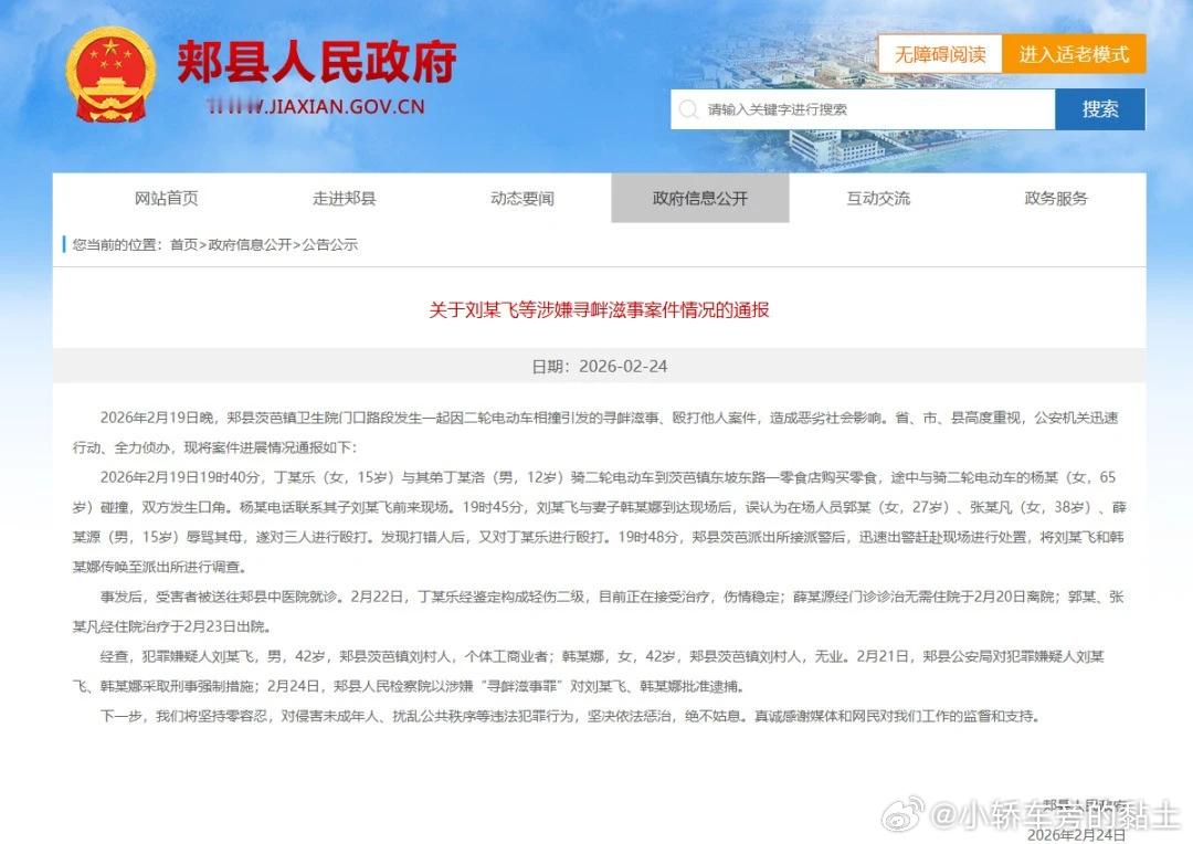 干的漂亮，大快人心！平顶山再通报打人事件