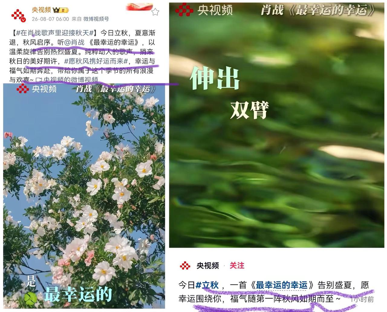你说这多好，蓝v卡生日，央妈发余生的歌，两家粉丝和谐这才是他俩想看到，而不是看到