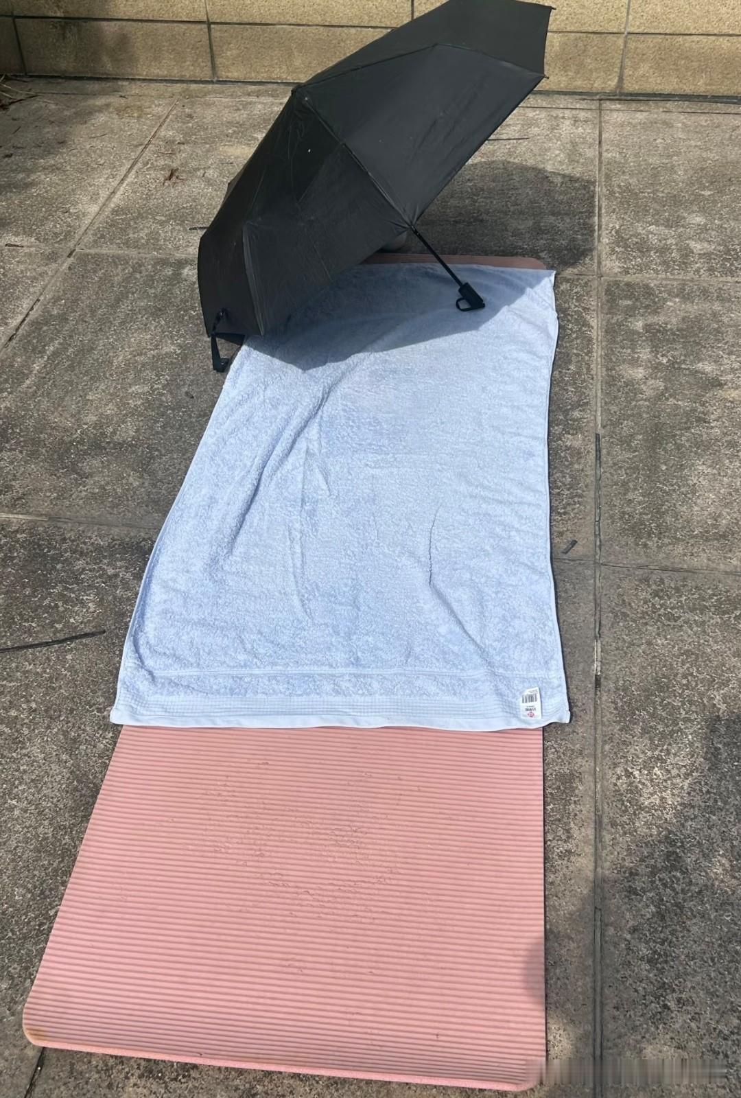 入伏了
晒出你们的图片吧！