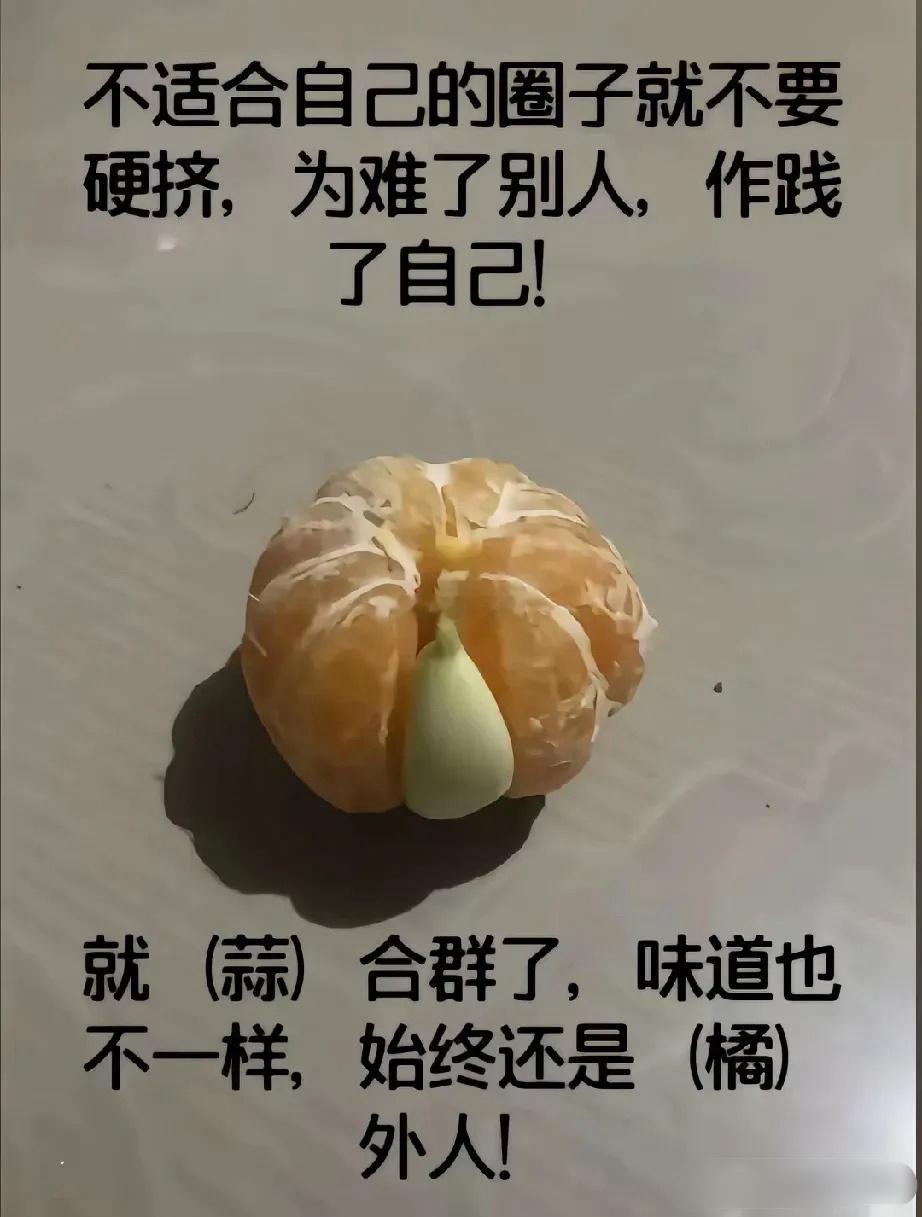 太精辟了 