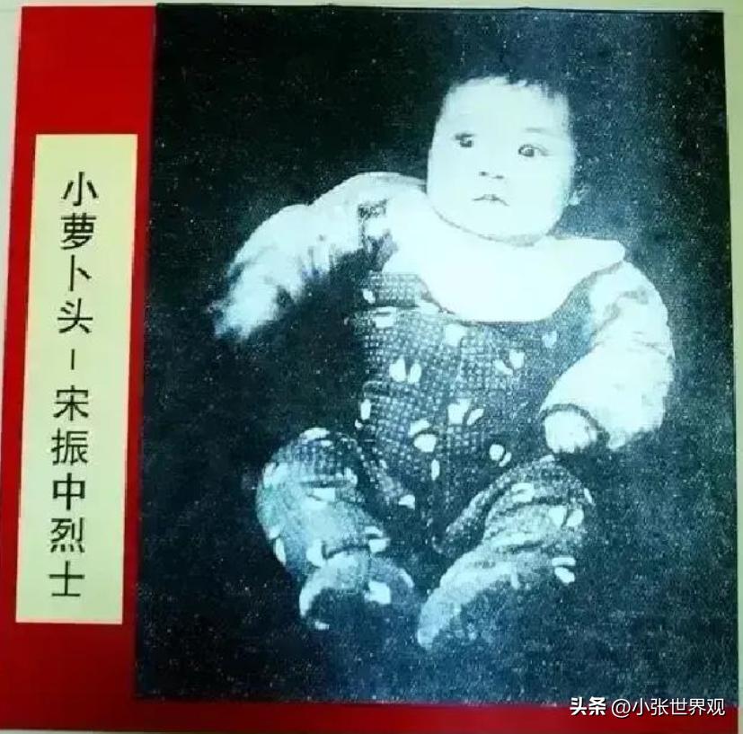 1949年，毛人凤书信问蒋介石，白公馆里还有一个八岁大的小孩，应该怎么处理，蒋介