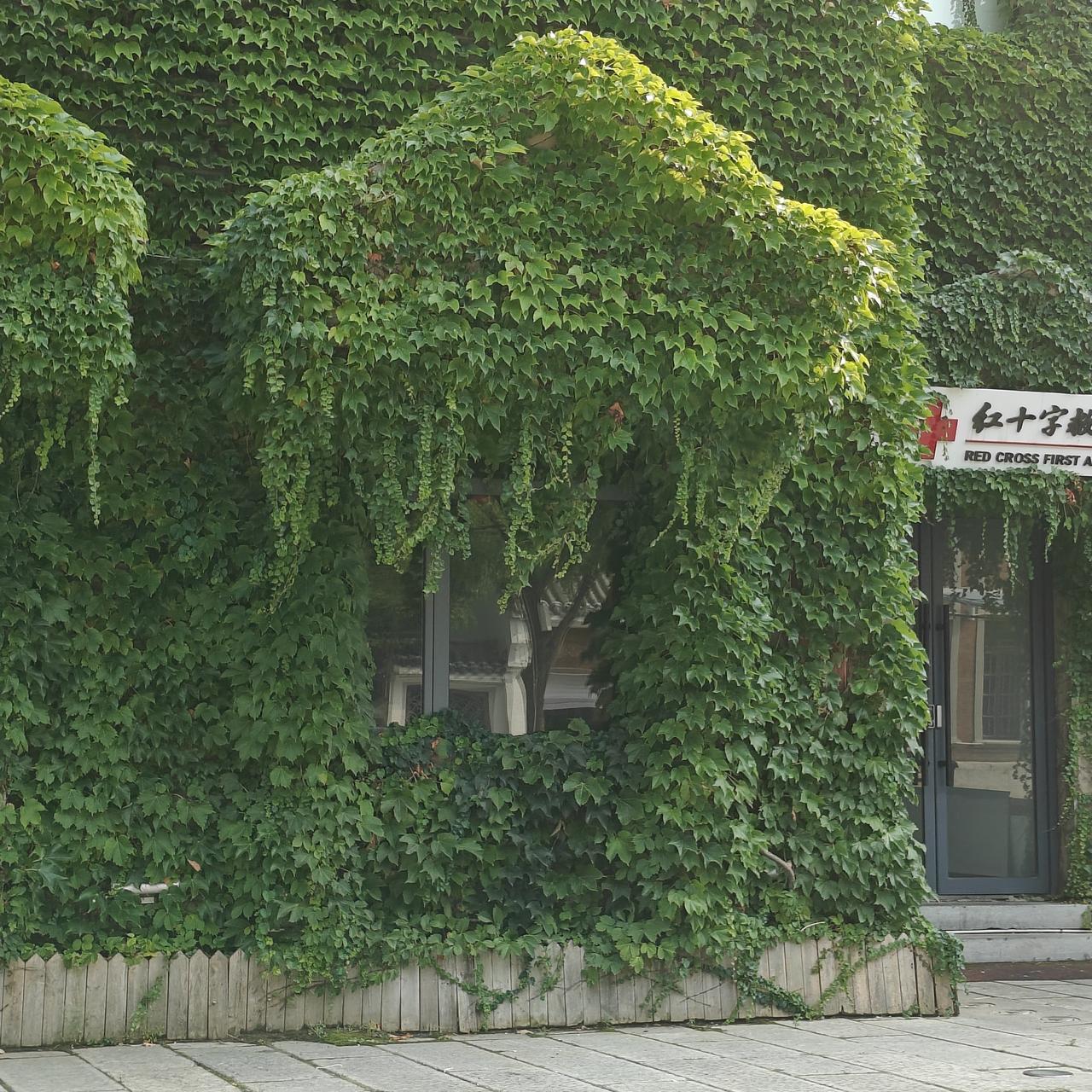 东北老人南下买旅居房，为啥九成后悔？真相太扎心！南方旅居过冬房 旅居租房过冬 过