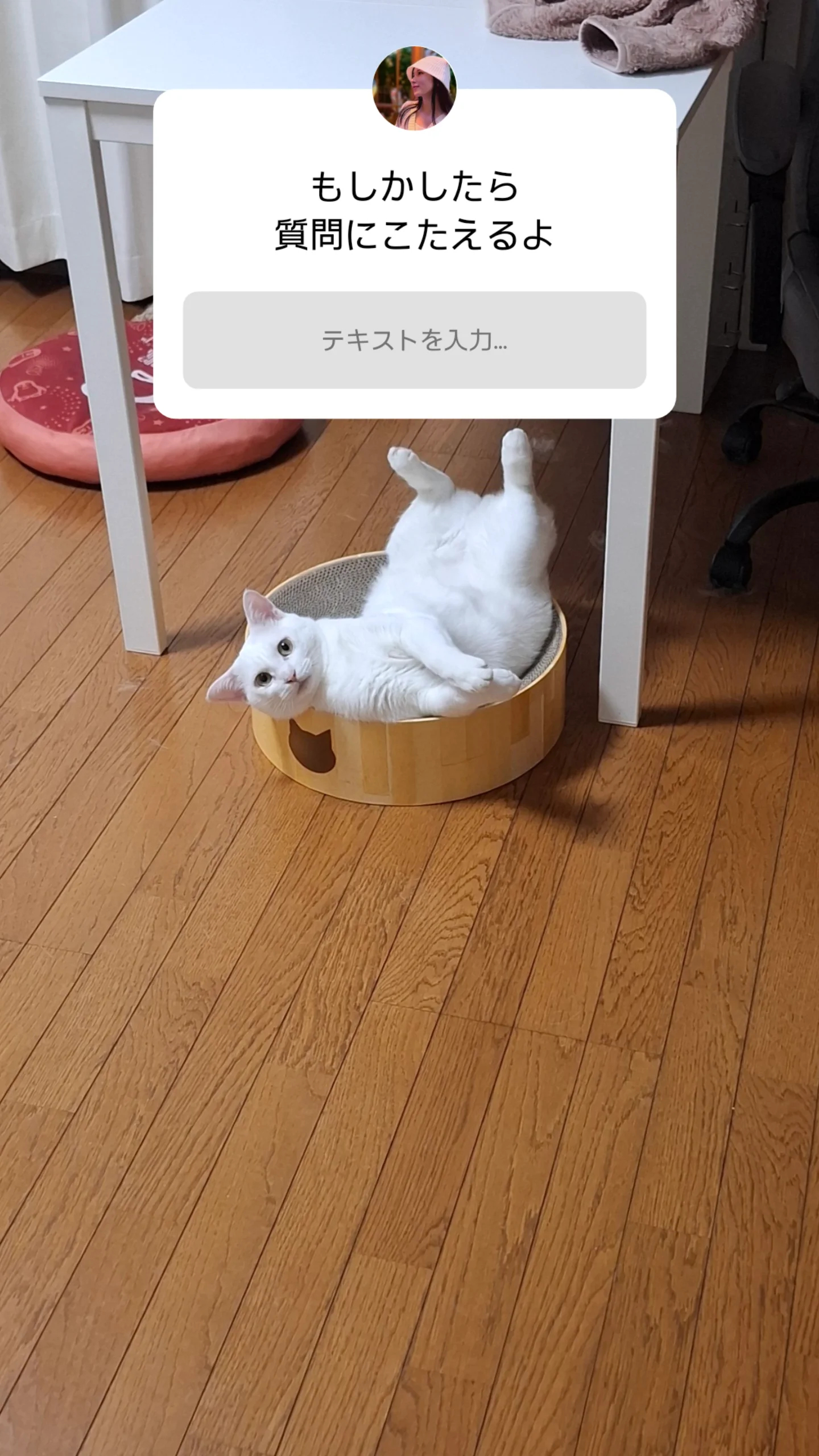 佐々木琴子① 