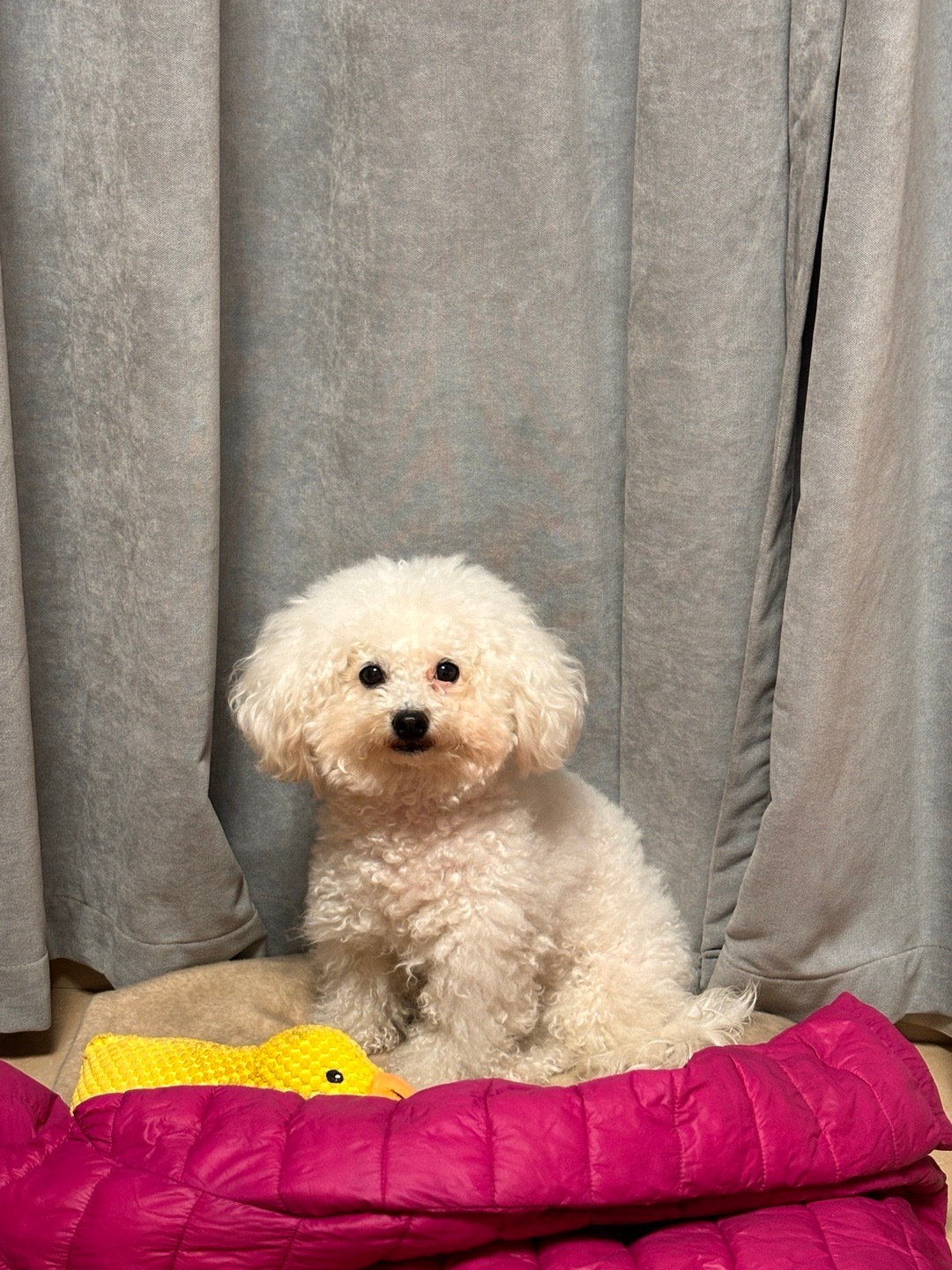 妞儿这个萌的呀 