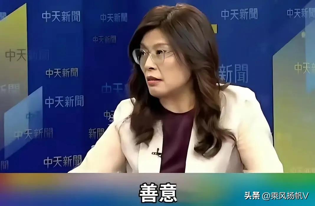 郑丽文还真会自个儿找台阶下，在马千惠节目上含混不清的承认自己的“战斗还击”说，是