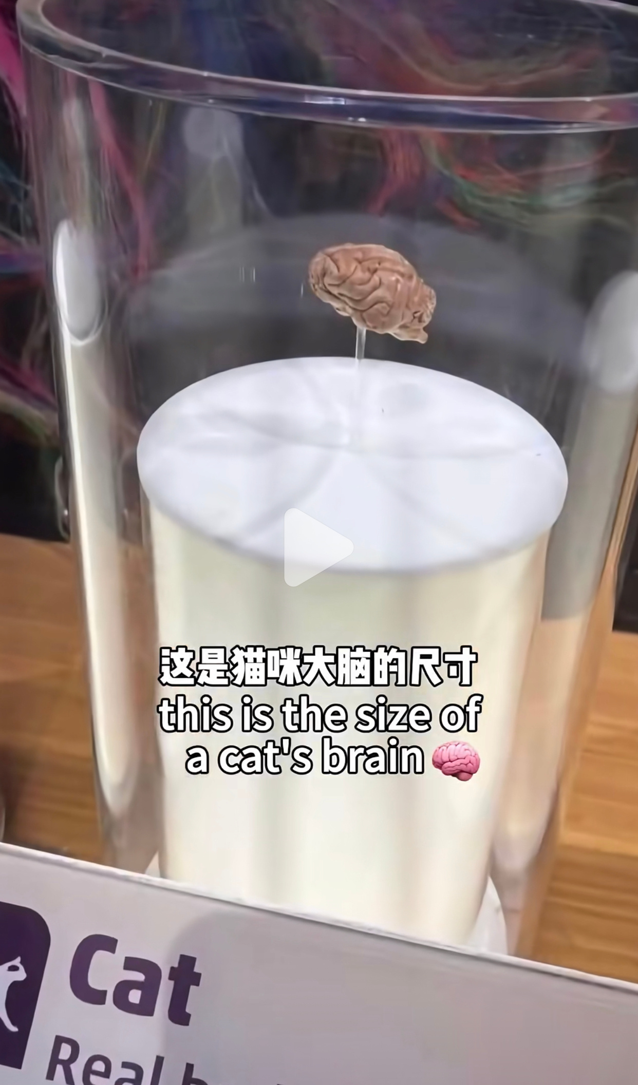 怪不得星星是个小若汁 