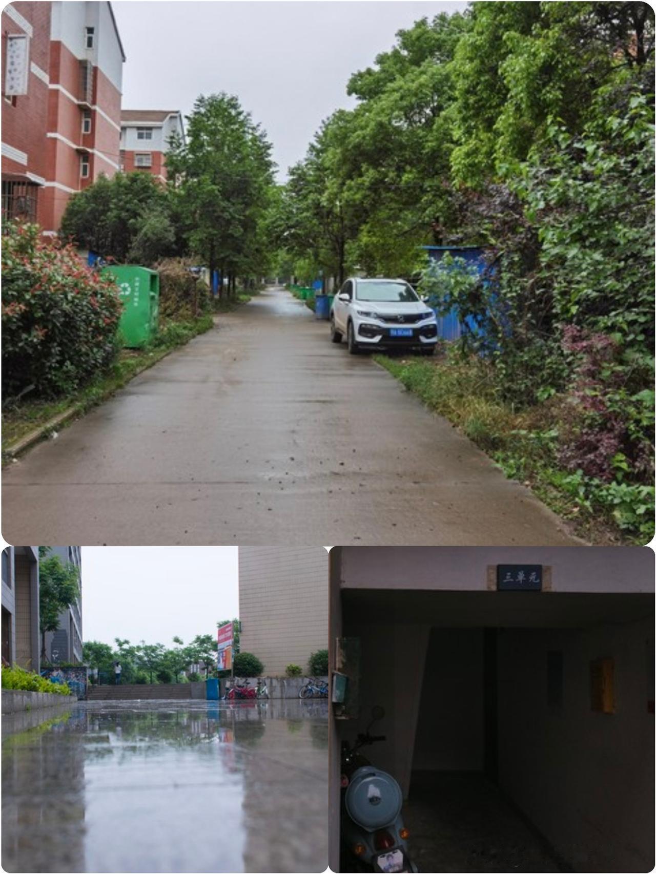 雨中一把伞，
邻居大哥的举动暖了整栋楼！
 
姊妹们，
昨天傍晚一直下雨，
我出