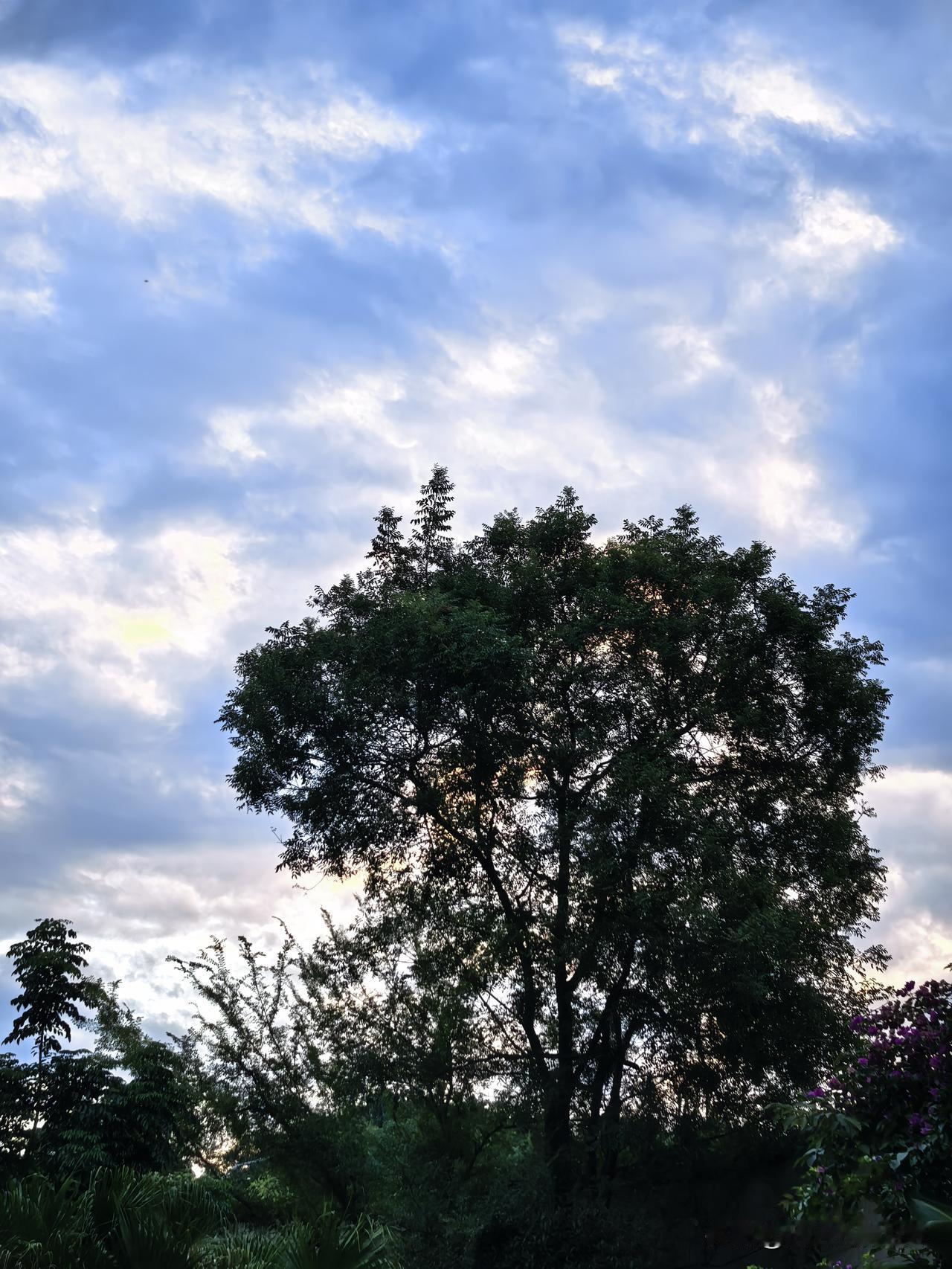 立秋后明显感觉到太阳出来晚了，要拍朝霞，基本要到6点半甚至7点。
之前夏天习惯五
