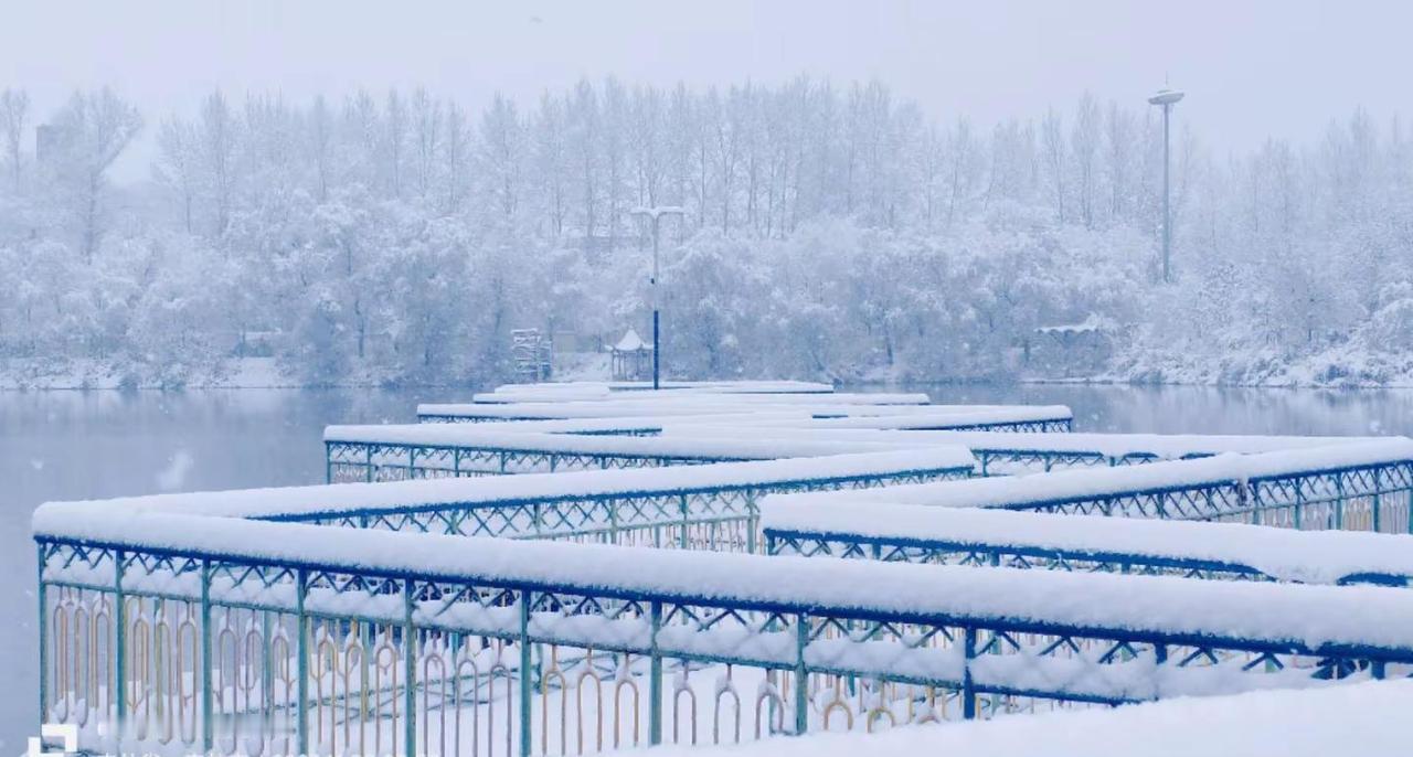 高温下的成都有眼福啦！贼凉快！😜。雪树银装