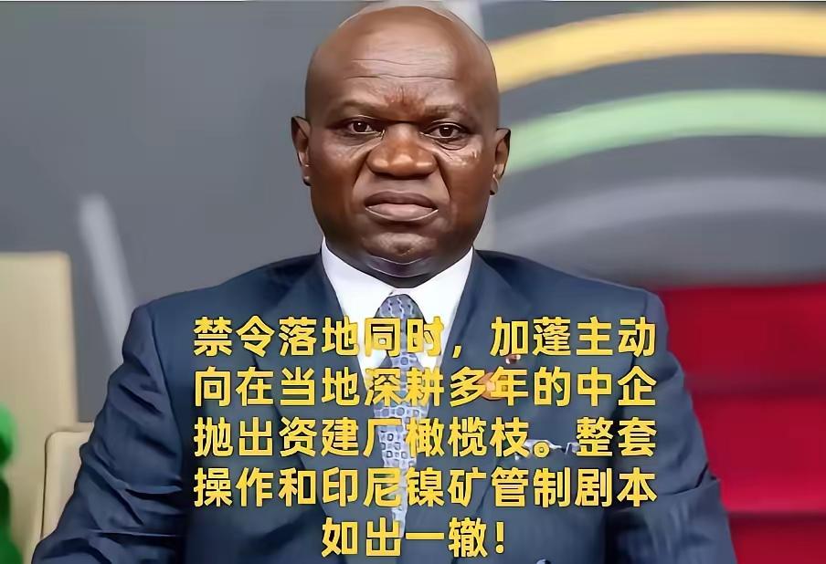 照搬印尼镍矿套路！加蓬叫停锰矿原矿出口，逼中方交出核心冶炼技术！
​这消息一出，