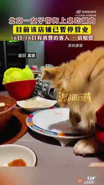 北京一名女子带自己养的宠物狗去一家涮肉店吃饭时，居然直接让宠物狗上桌，并且让它吃