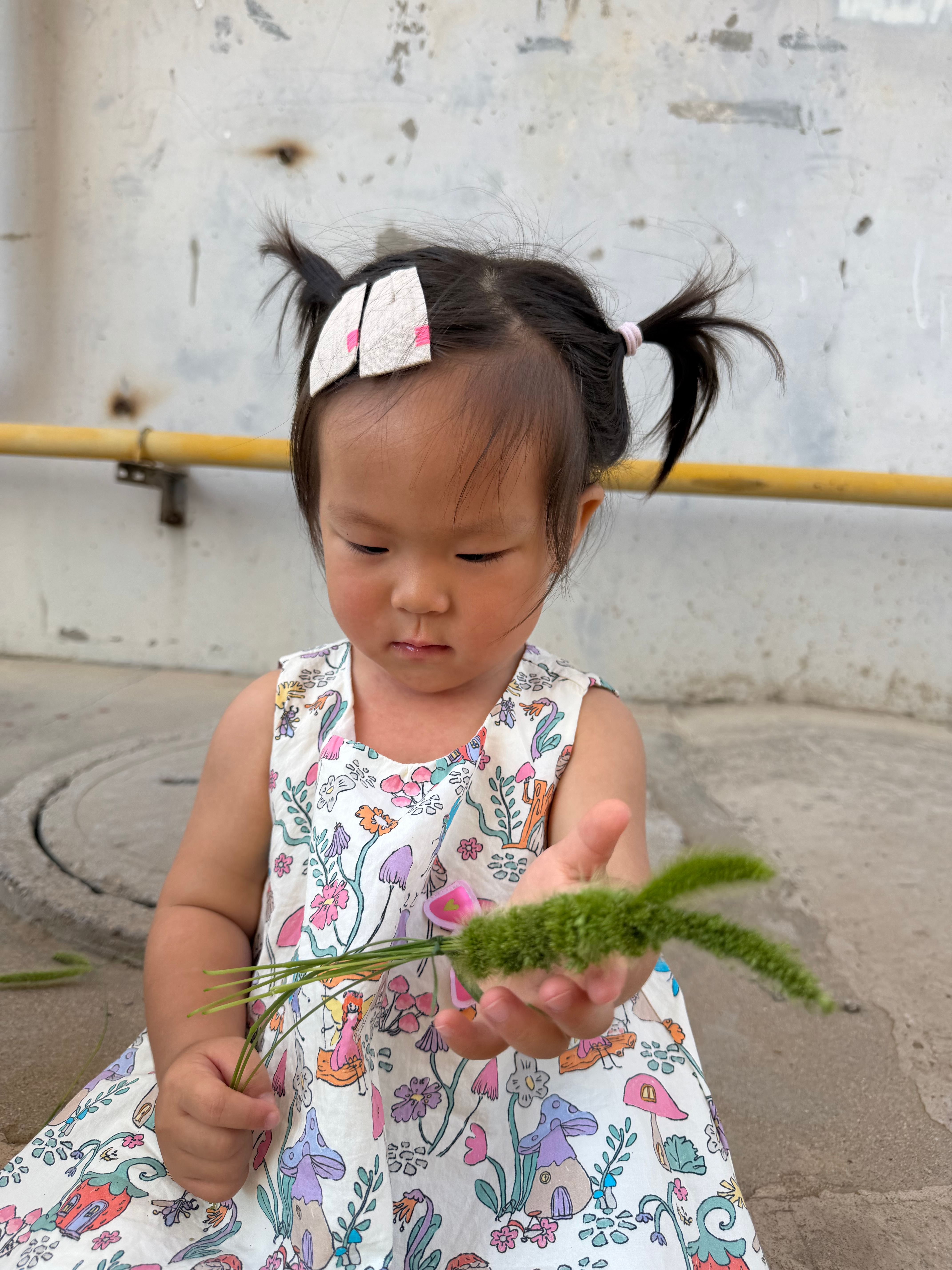 小时候经常用狗尾巴草编这种小兔子小满说，和皮普一样 