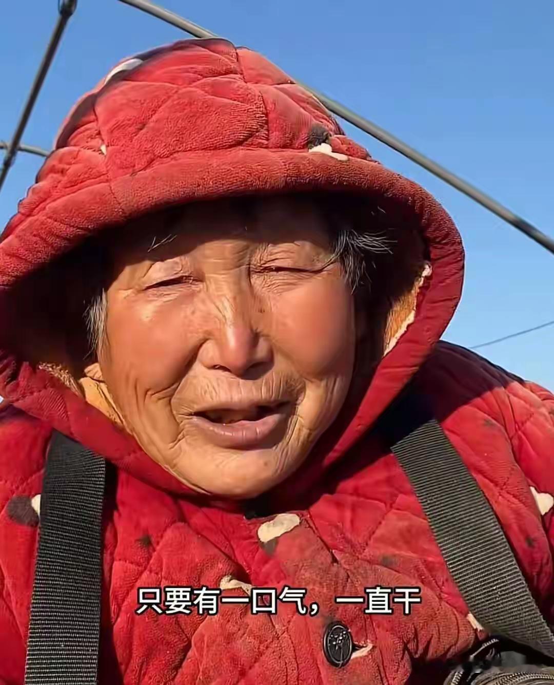 河南济源69岁轮椅奶奶李小稳：30年轮椅碾出200万年收，带50户乡亲共富，她活
