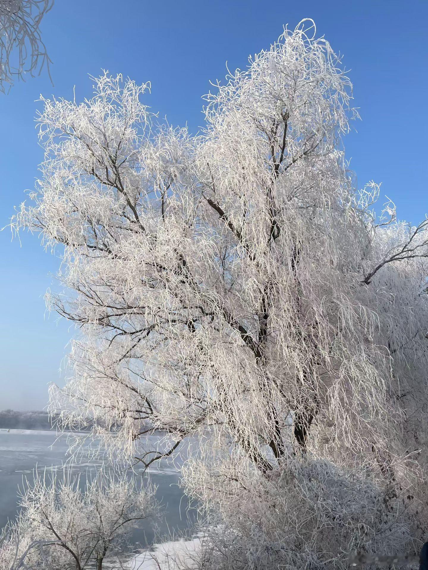 遇见雾凇。跨年电影愿