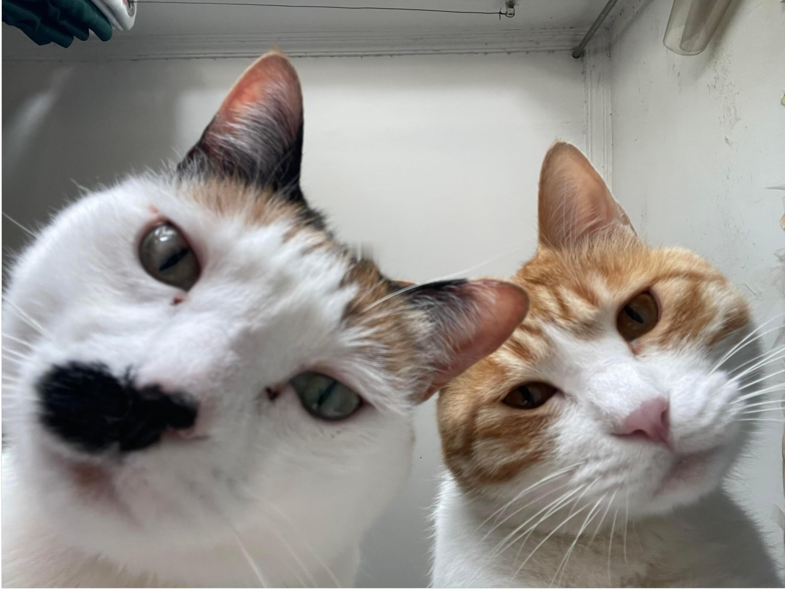 人，起来搞早饭 