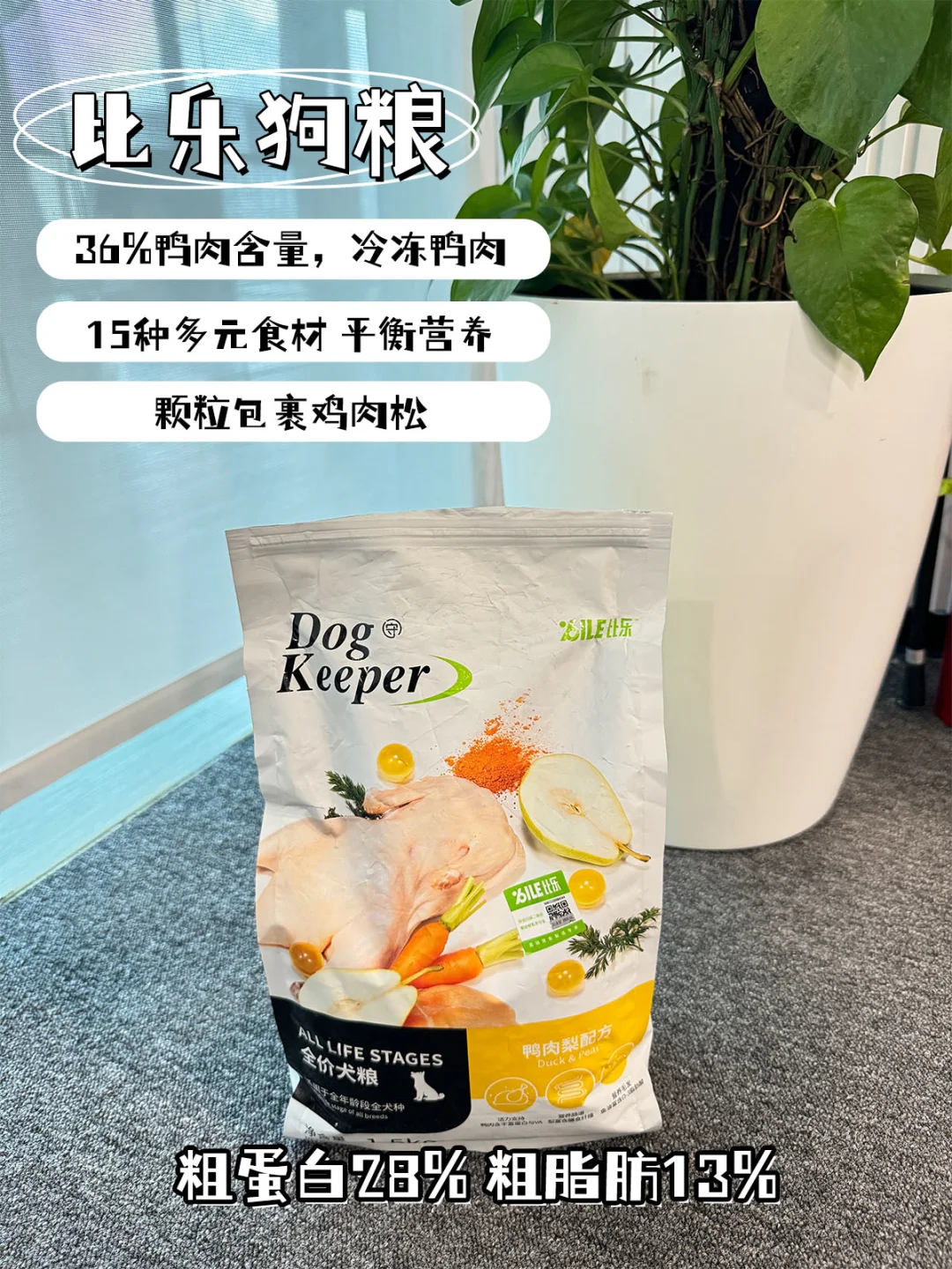 网红狗粮大起底！挑对狗粮，轻松拿捏🐶🍲