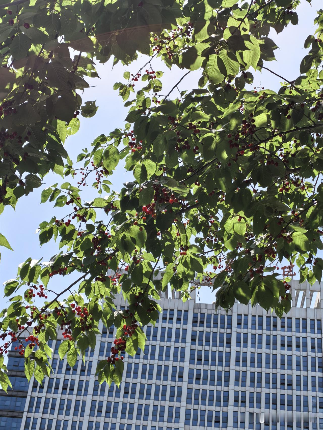 中小学取消重点班对学生有何好处让每个孩子都能享受到相对公平的教育资源，师资不再集