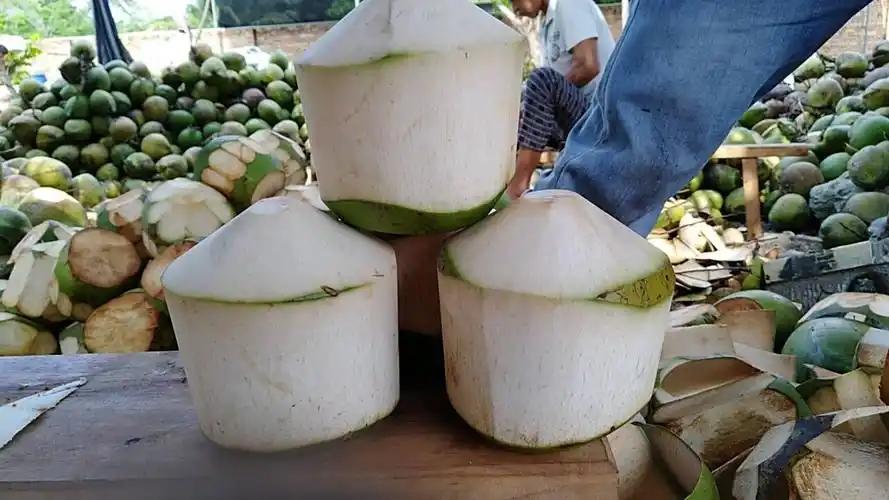 今年3.15，爆出了个大新闻：那些号称纯天然的椰子水，居然是用糖水勾兑出来的！这