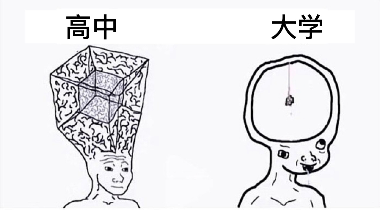 真实#今日memes# //#春日cityhappy计划# ​​​