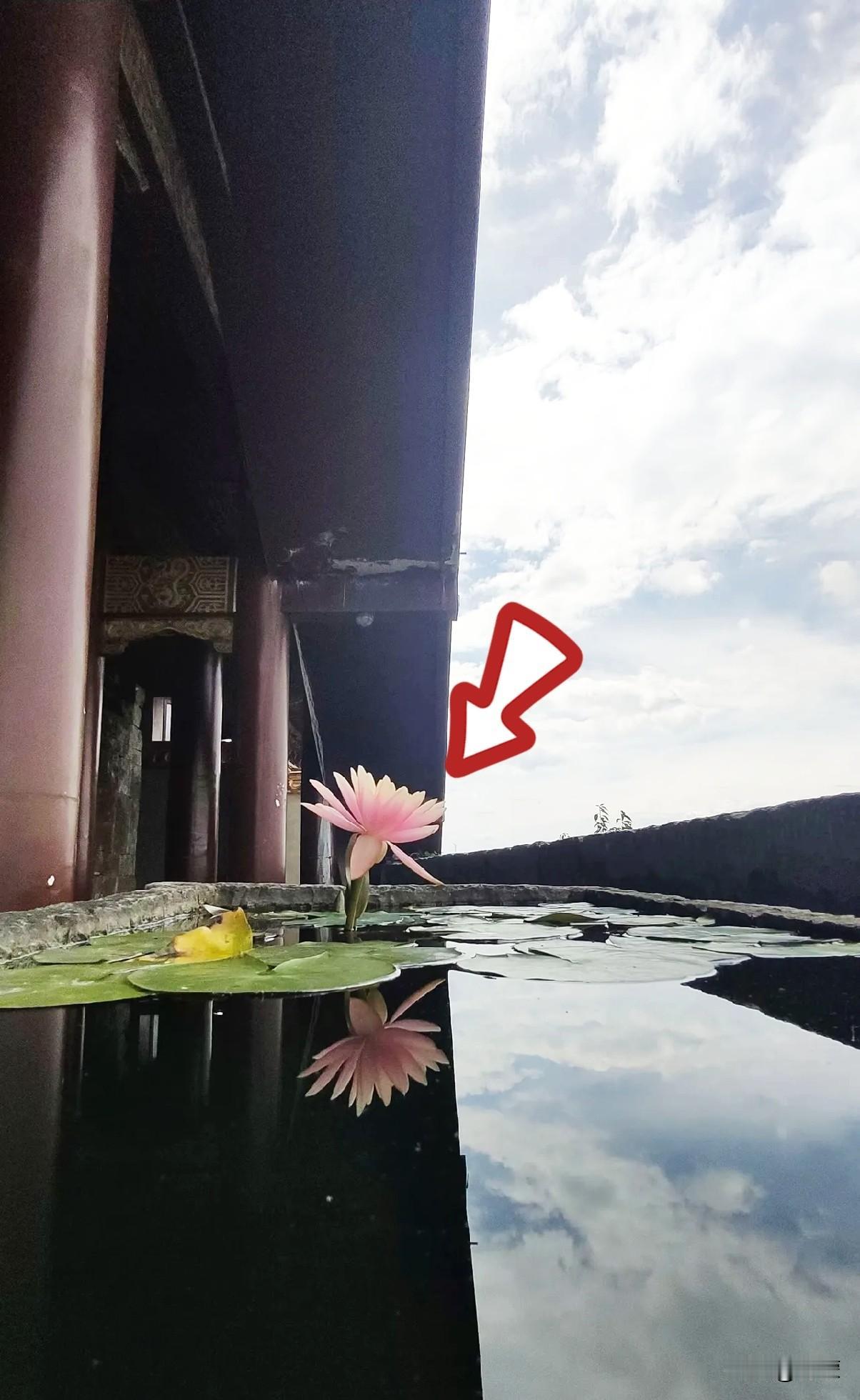 过两天搭子就要去上班，
又要开始异地咯。这放假的日子，我俩那叫一个没羞没臊，我都