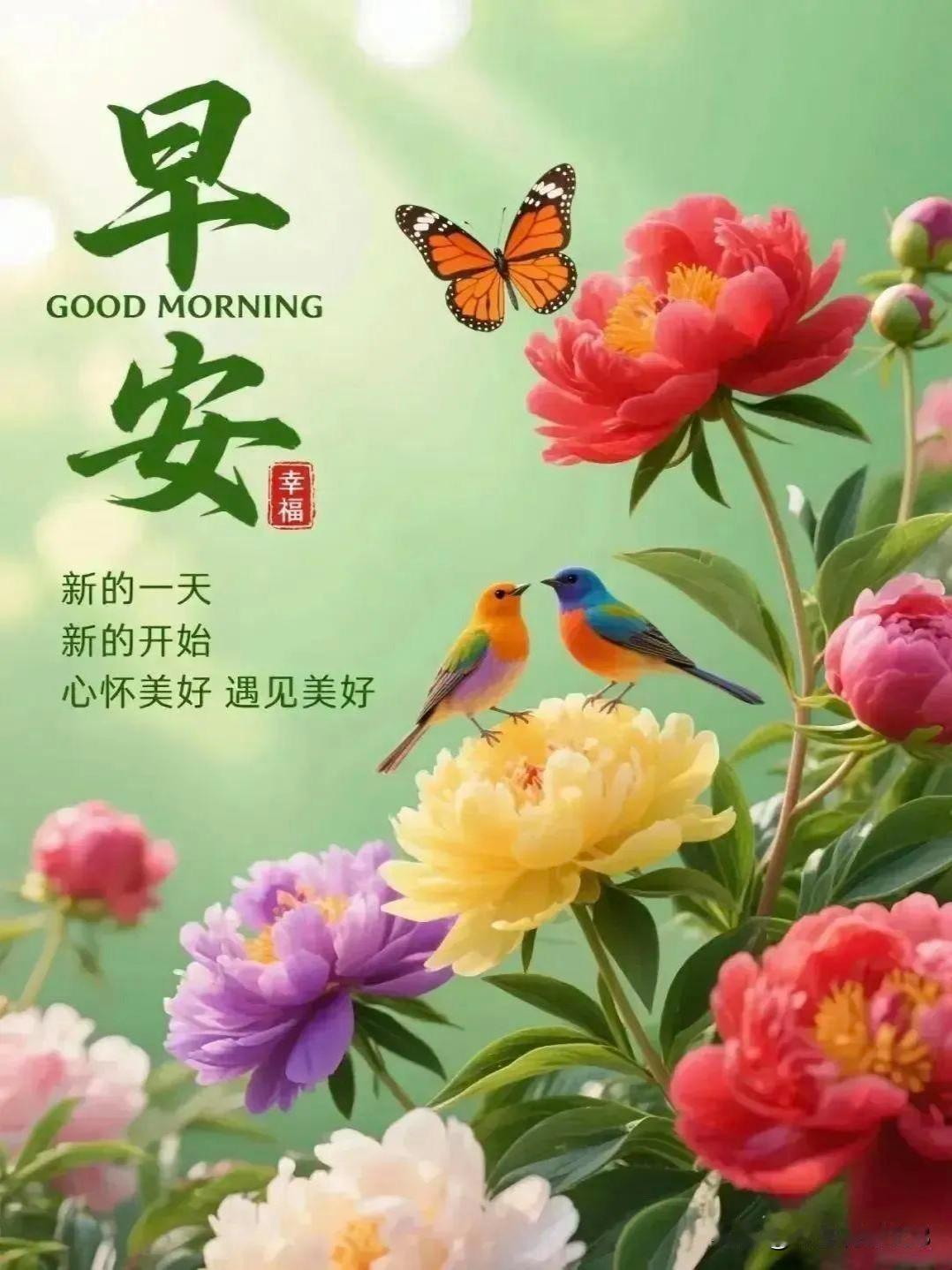 每一个清晨，都藏着生活的温柔；每一段相伴，都满载安康的期许。愿我们迎着晨光向阳而