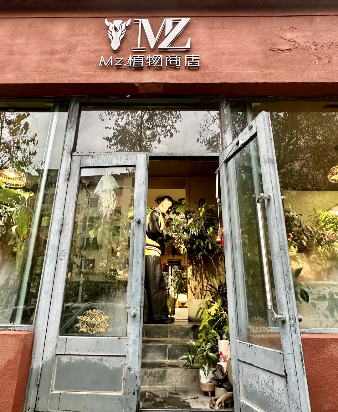 呼和浩特氛围感绿植花店被我找到咯🪴