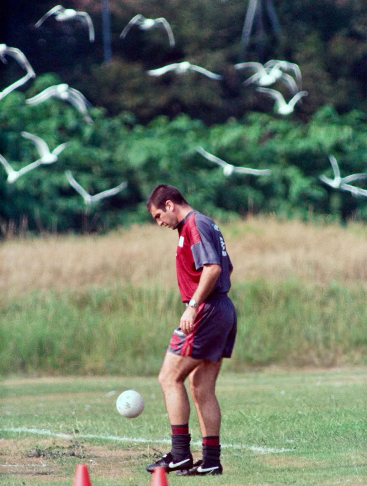 📷这张神图我第一次见👑海鸥不跟拖网渔船改追国王，是因为坎通纳会飞到赛尔赫斯特