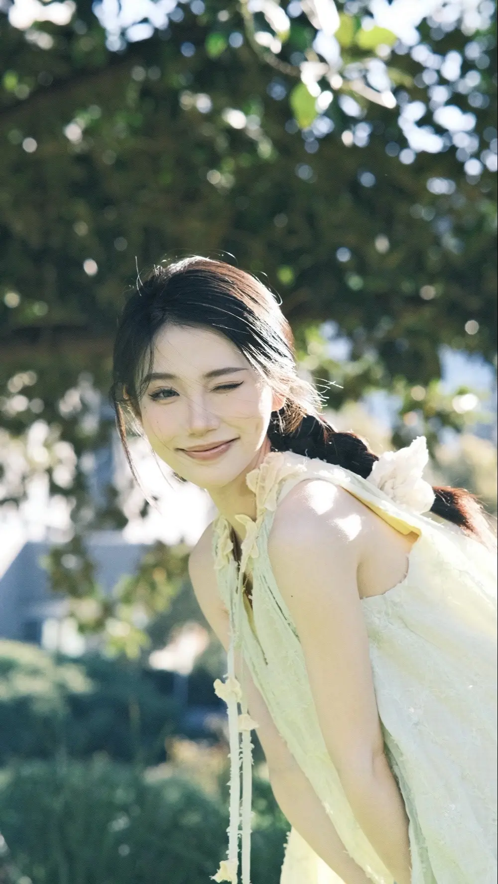 🌞🌳🪽🕊️。摄影师 很爱很爱 
