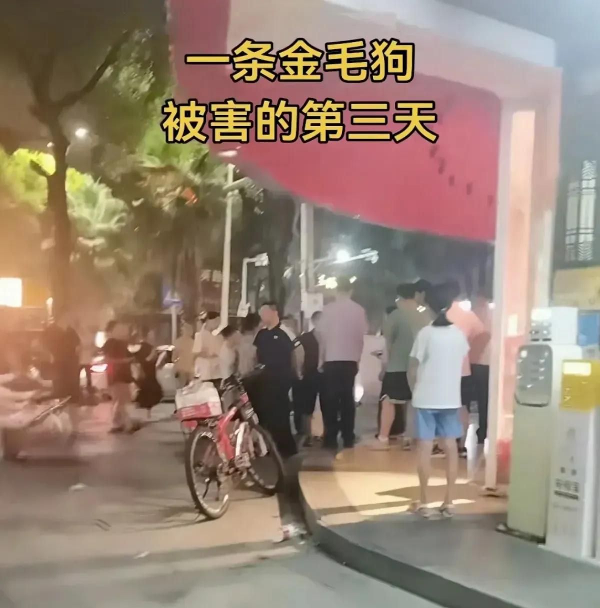 还有没有天理了？自己家的狗没看好，跑到人家店里被打死了，结果一群人去围堵饭店，门