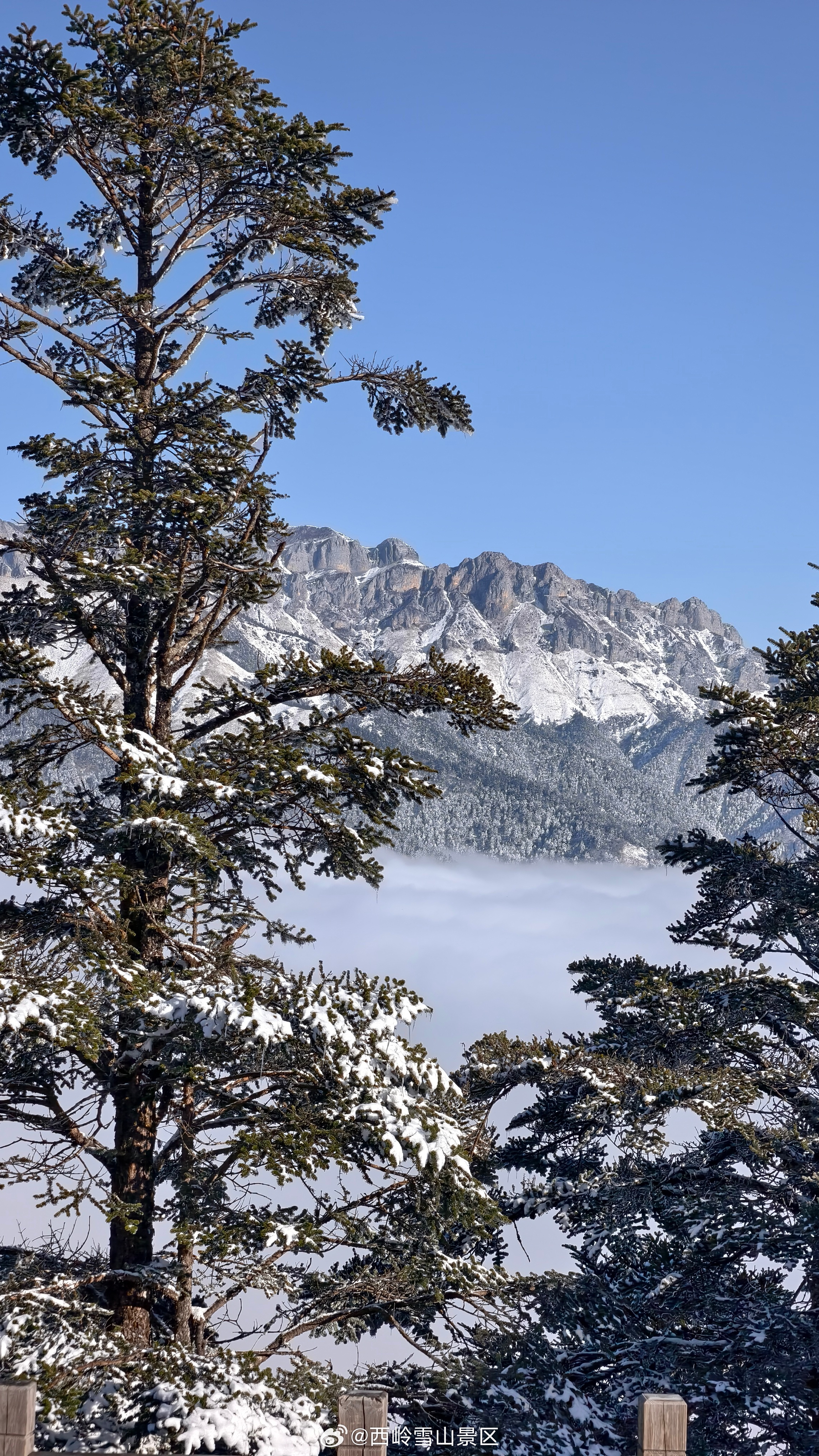 “抓住了一个赖床的冬天。它在西岭雪山日月坪，把云海当被子，让松枝挂着雪，还派了一