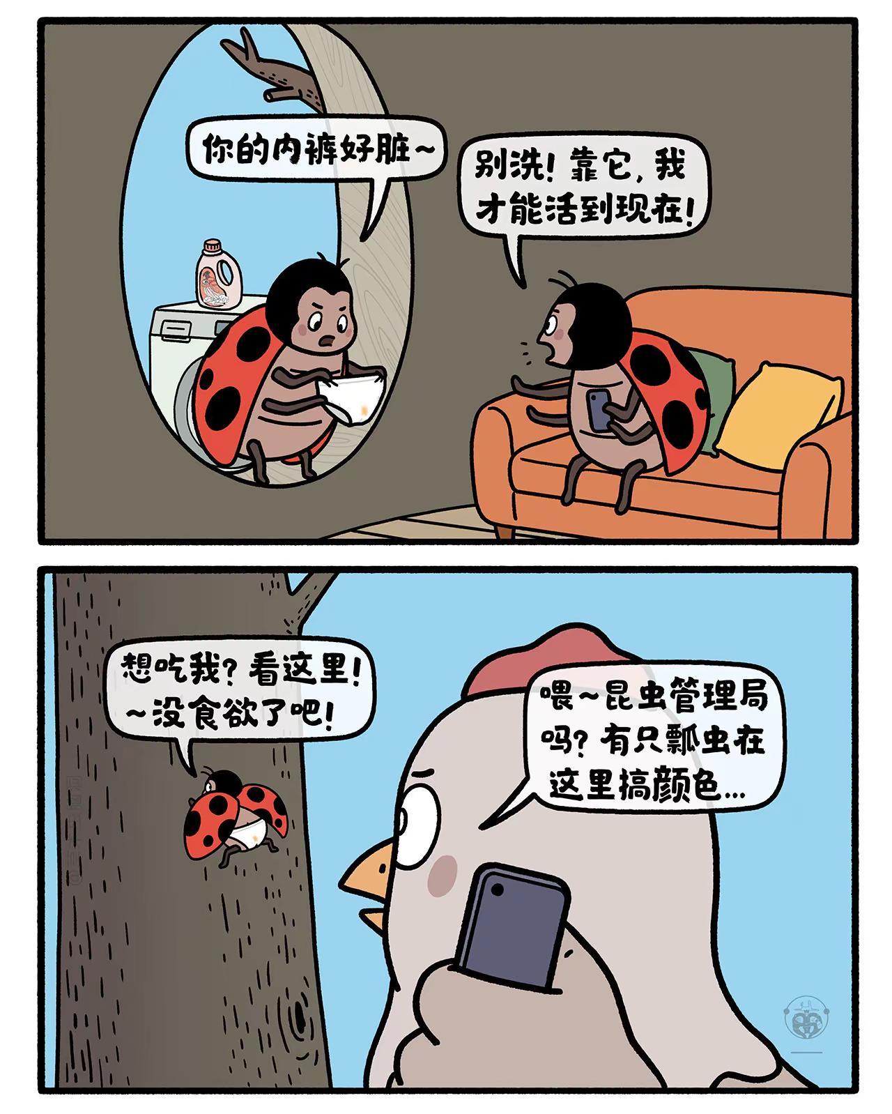 瓢虫的护身符。嫦娥打工兔 第八九八集 一日一画