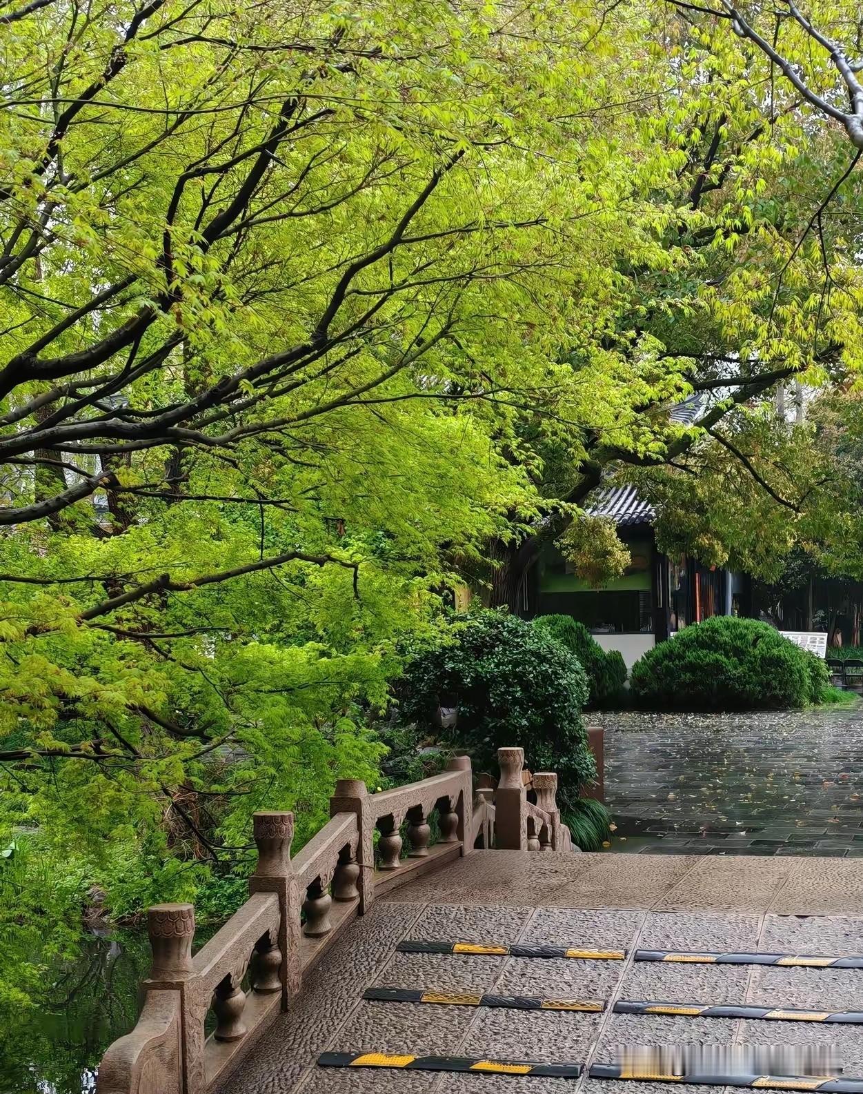 距离高考仅剩最后18天，漫长而滚烫的高三备考征程，即将画上圆满的句号。
整整一学