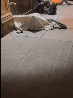 中国妹子哭诉:来美国第一天滤镜就彻底碎裂，想回国了。满大街都是不明液体、流浪汉和
