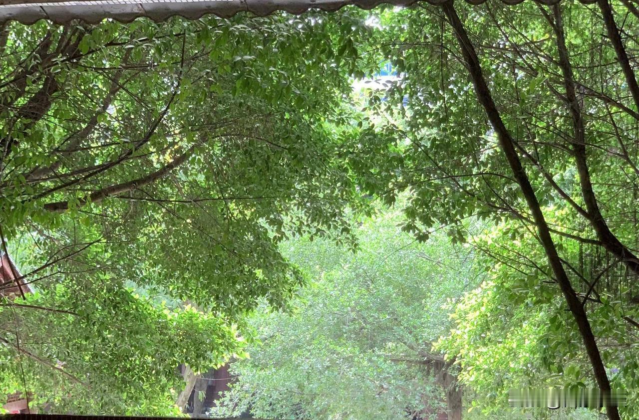 有些人，在工厂里面上班真是“卷”
8点的班，他们7：30就到了
天天多上半个小时