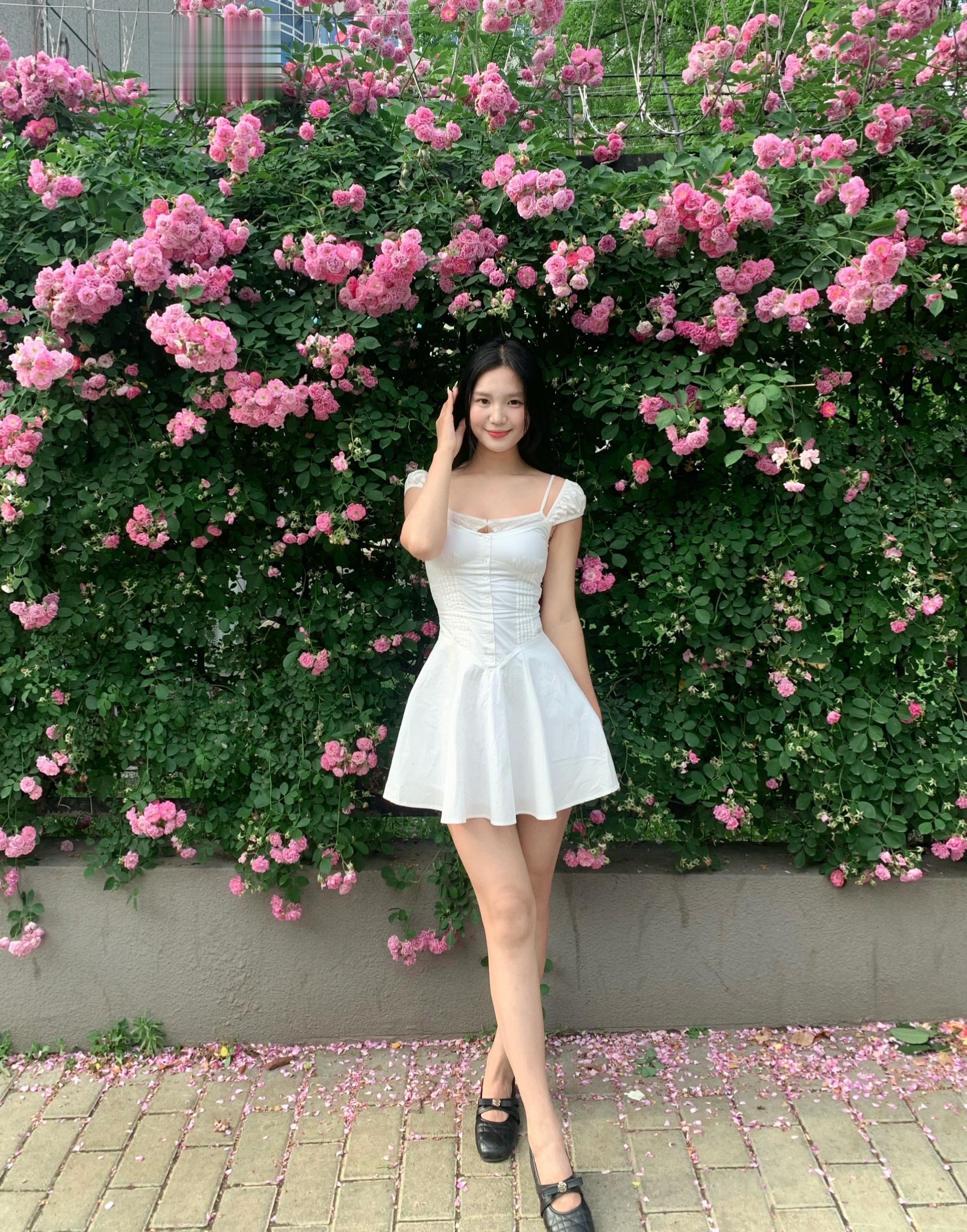 ｡˚ꕤ.ﾟ 蔷薇花开