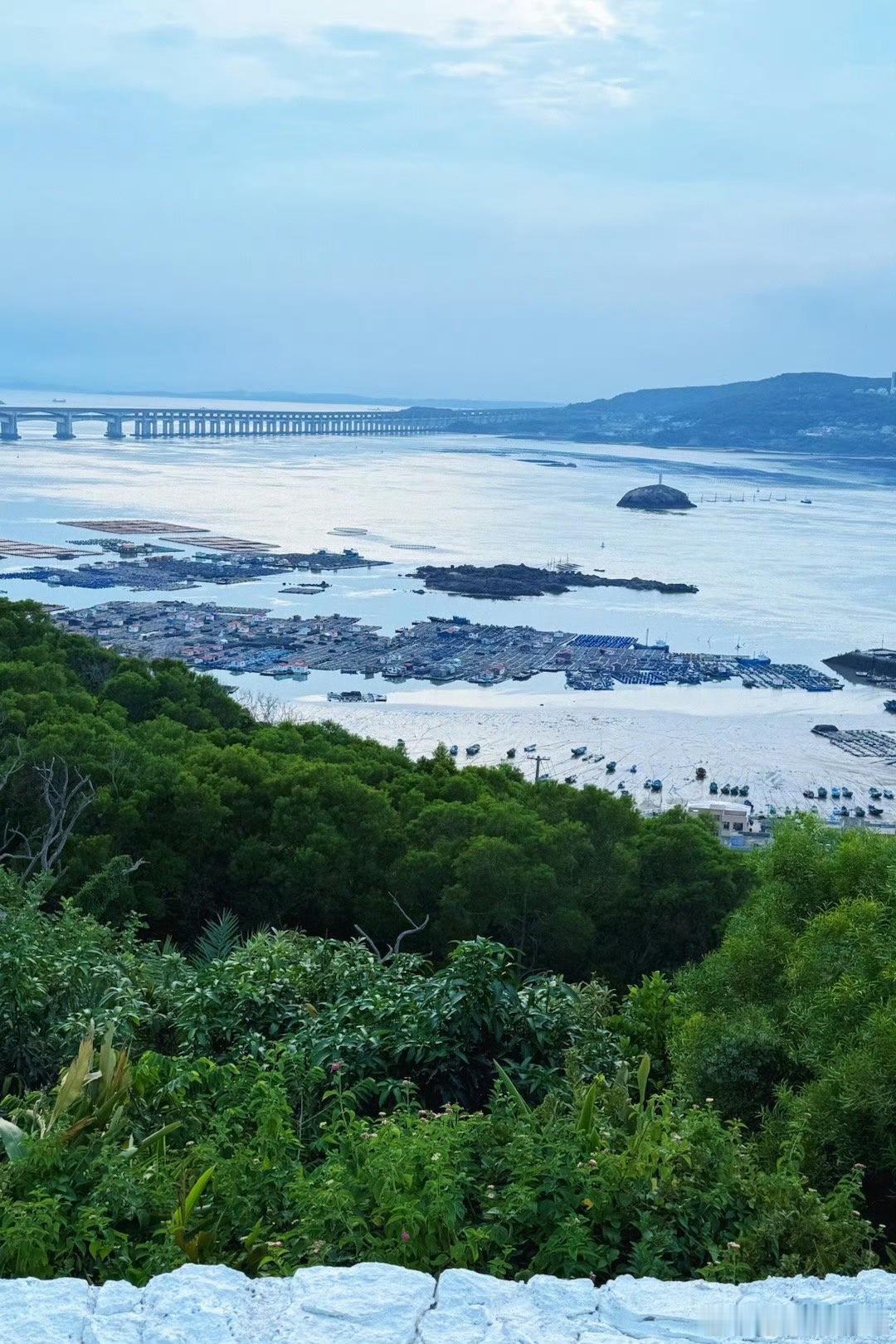 分享图片 ​​​