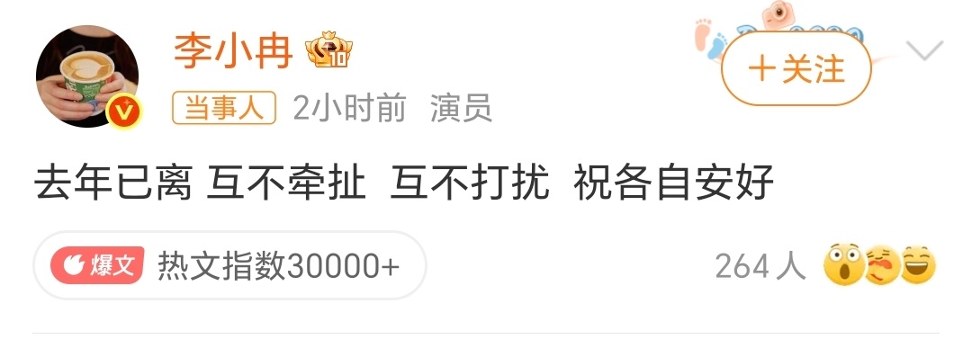 李小冉离婚！李小冉结婚超十年没要孩子！为啥现在的明星朋友离婚后都会说一句早就离了