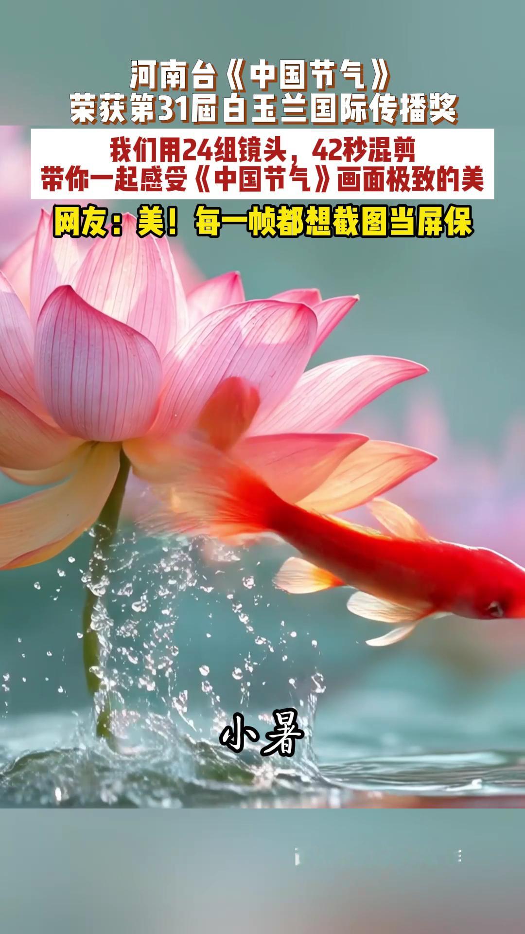 中国节气每一帧都配得上白玉兰河南台24中国节气42秒超燃混剪三年时间打磨出来的作