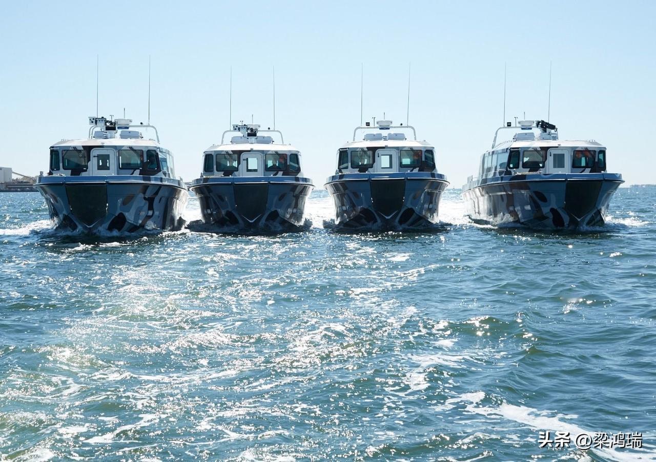 印度边防部队（Border Security Force, BSF）于1965年